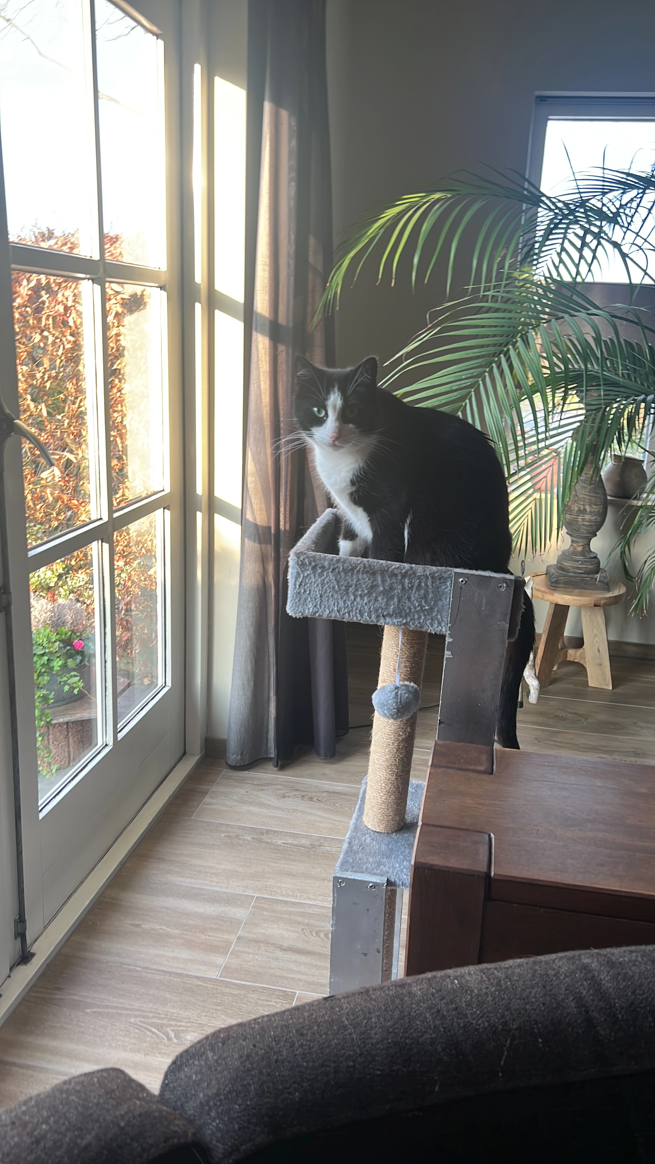 Billie - Britanniawijk, Oude Pekela