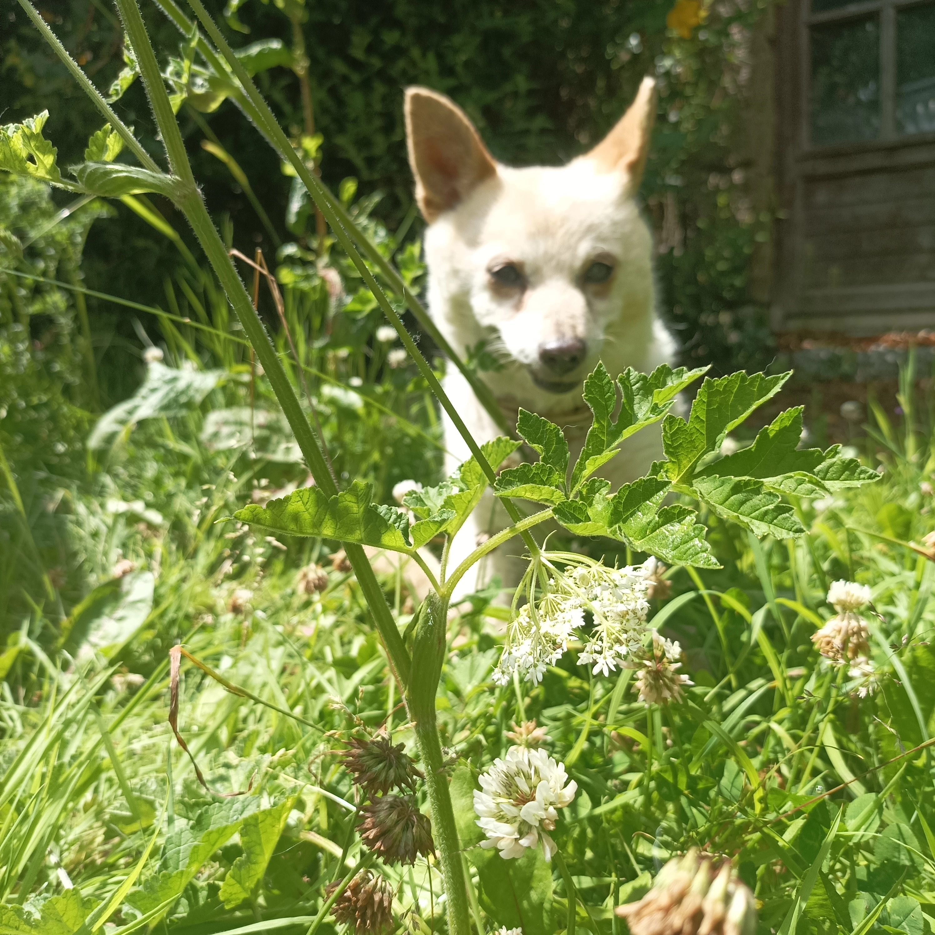 Yuna - 10 Rue Jean Jaurès, Ploumagoar