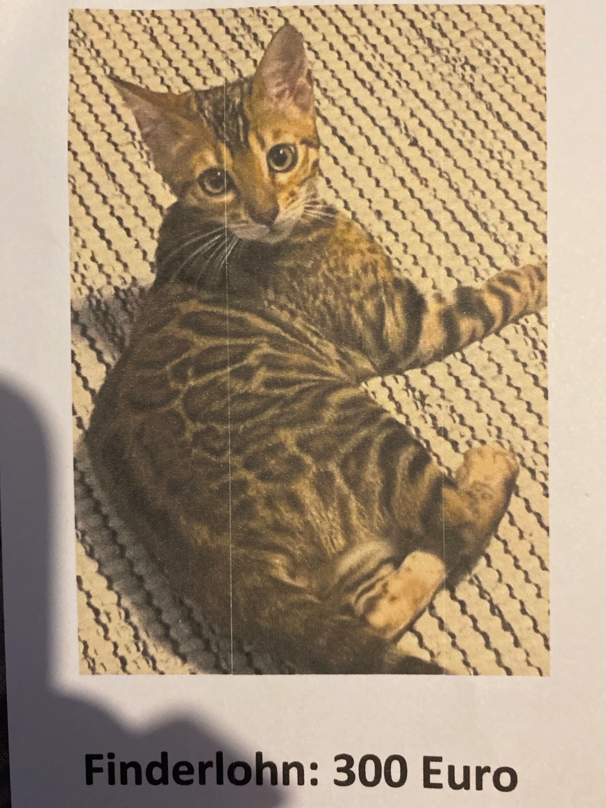 Mia - Austraße, Nürnberg