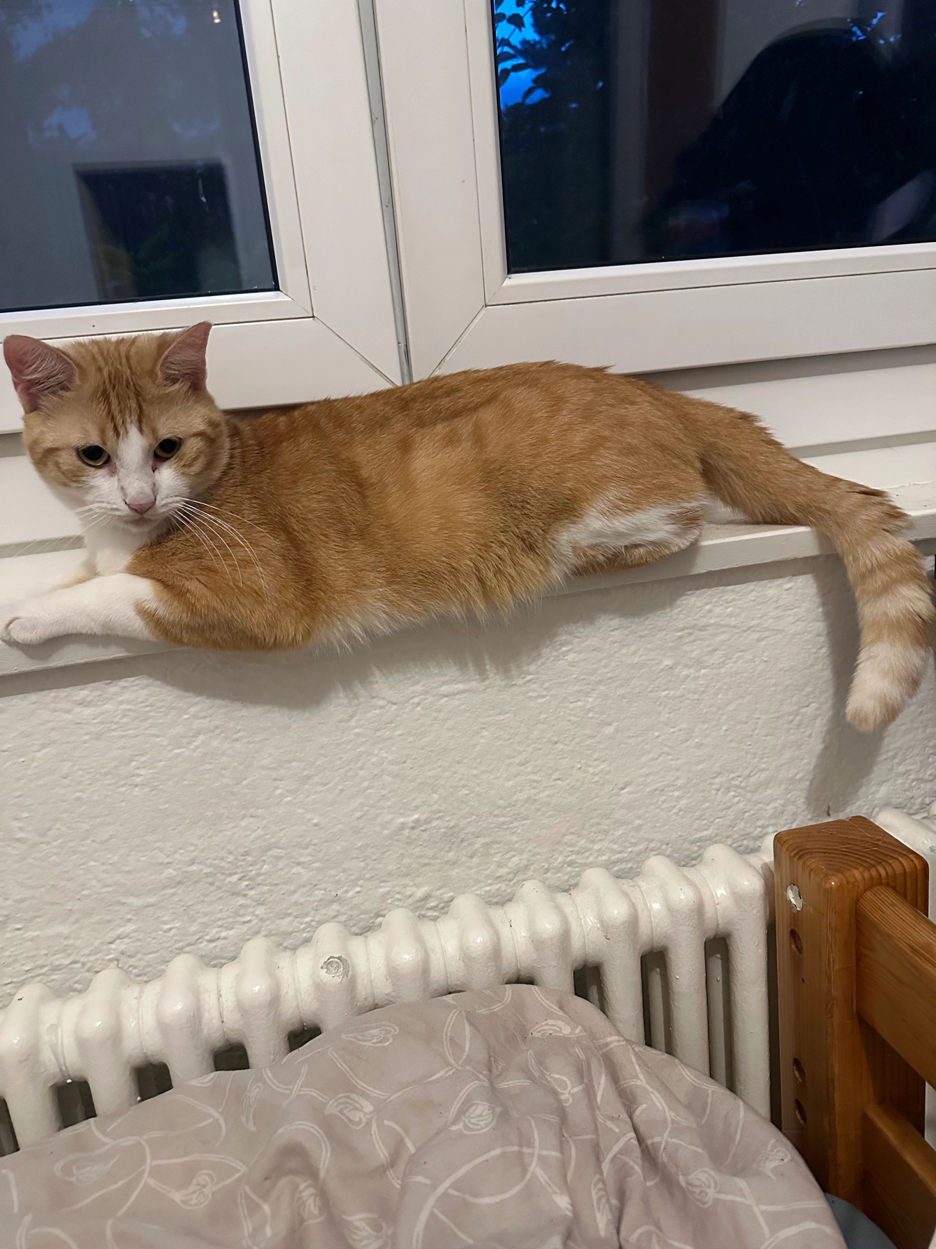 Ichi - Chemin de la Gottettaz, Lausanne