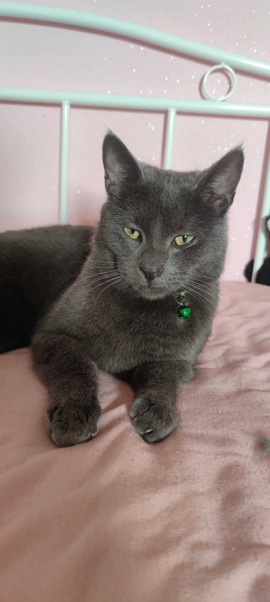 Cosmo - Lindenstraße, Wittmund