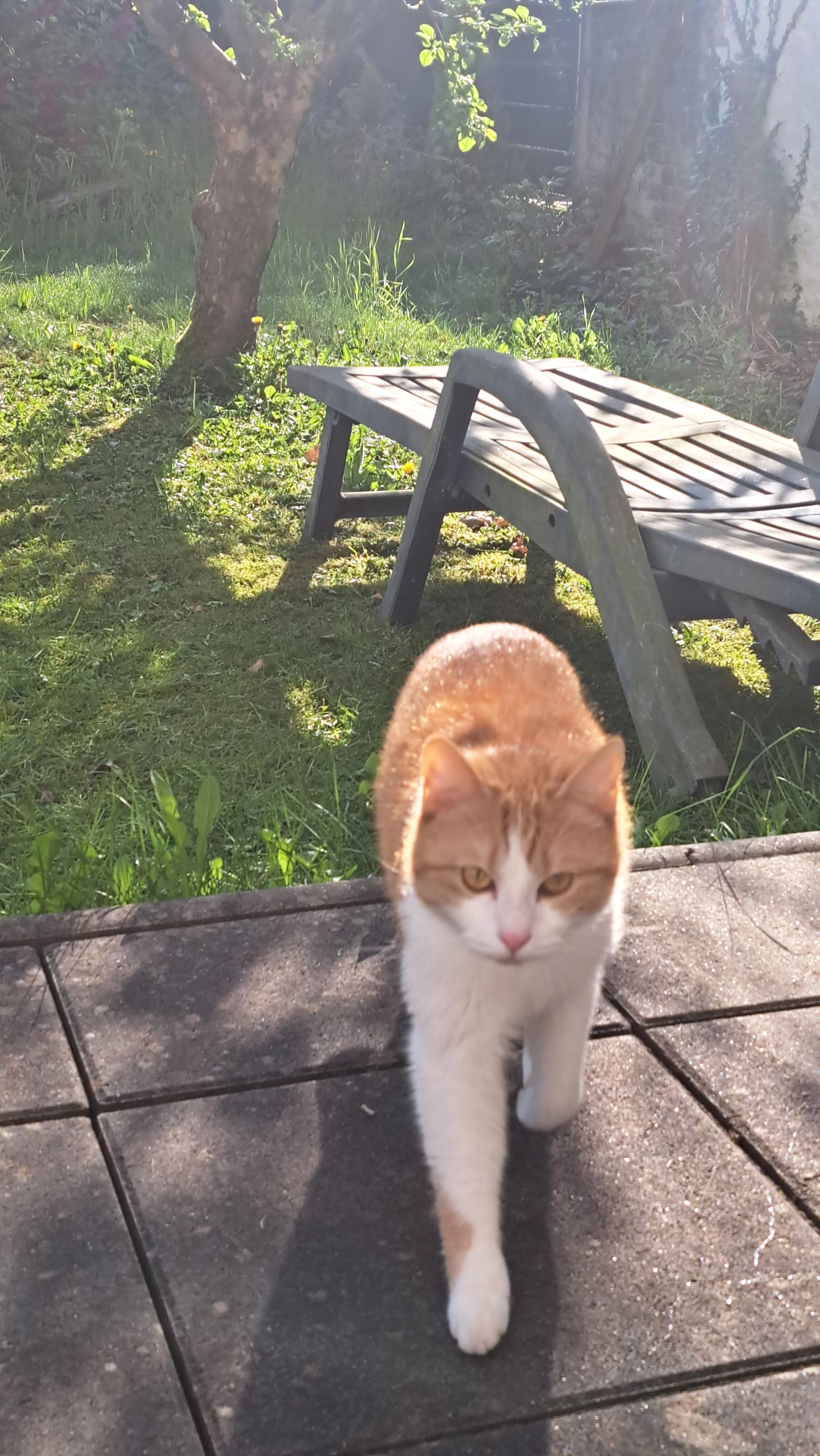 Findus - Hunsrückstraße, Mönchengladbach