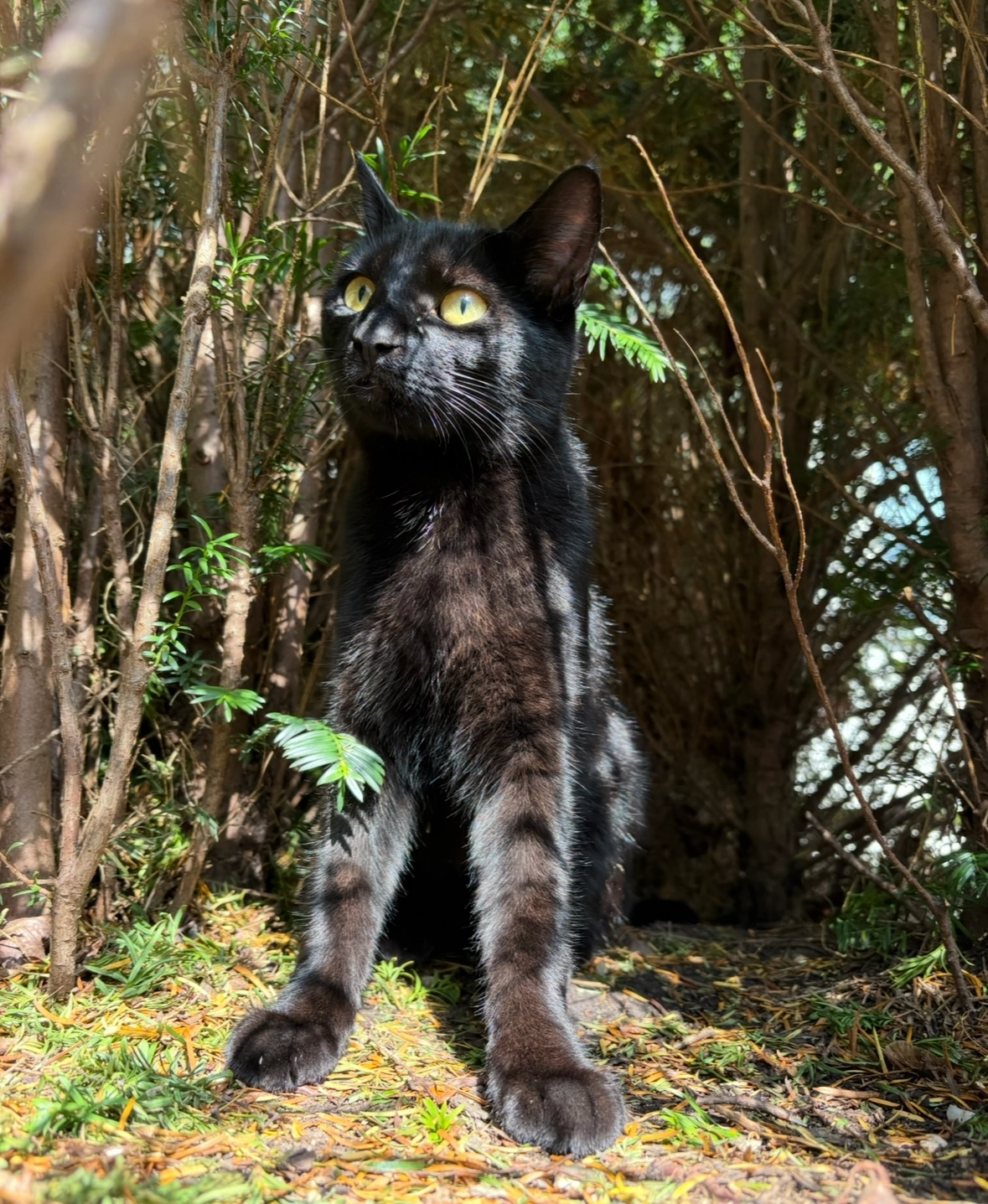 Luna - Rehweg 3, Wiesendangen