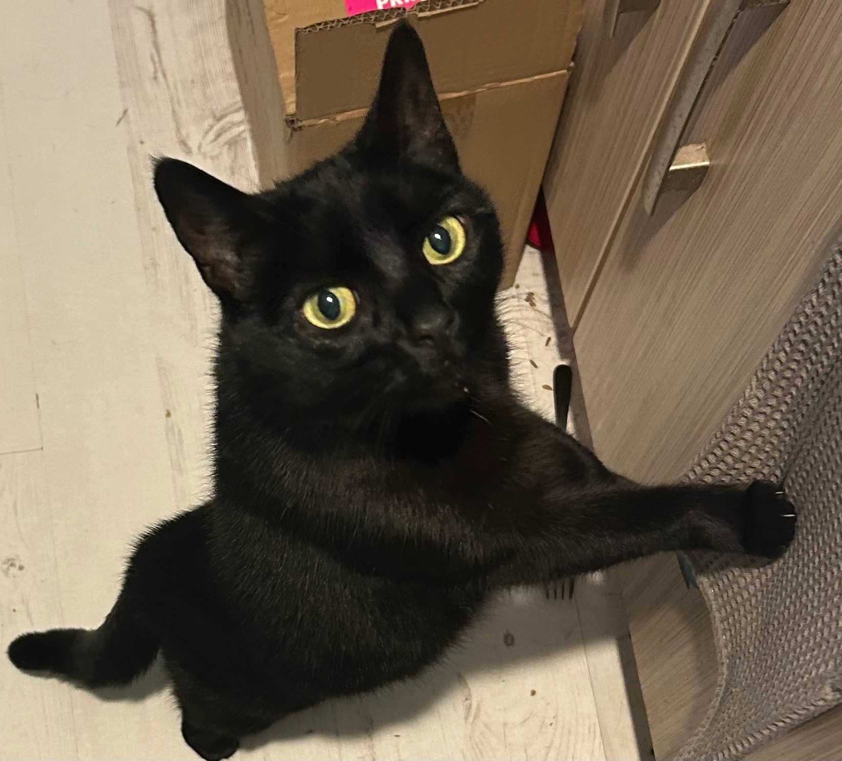 Baby Stormy - Tiverton Avenue, North Shields