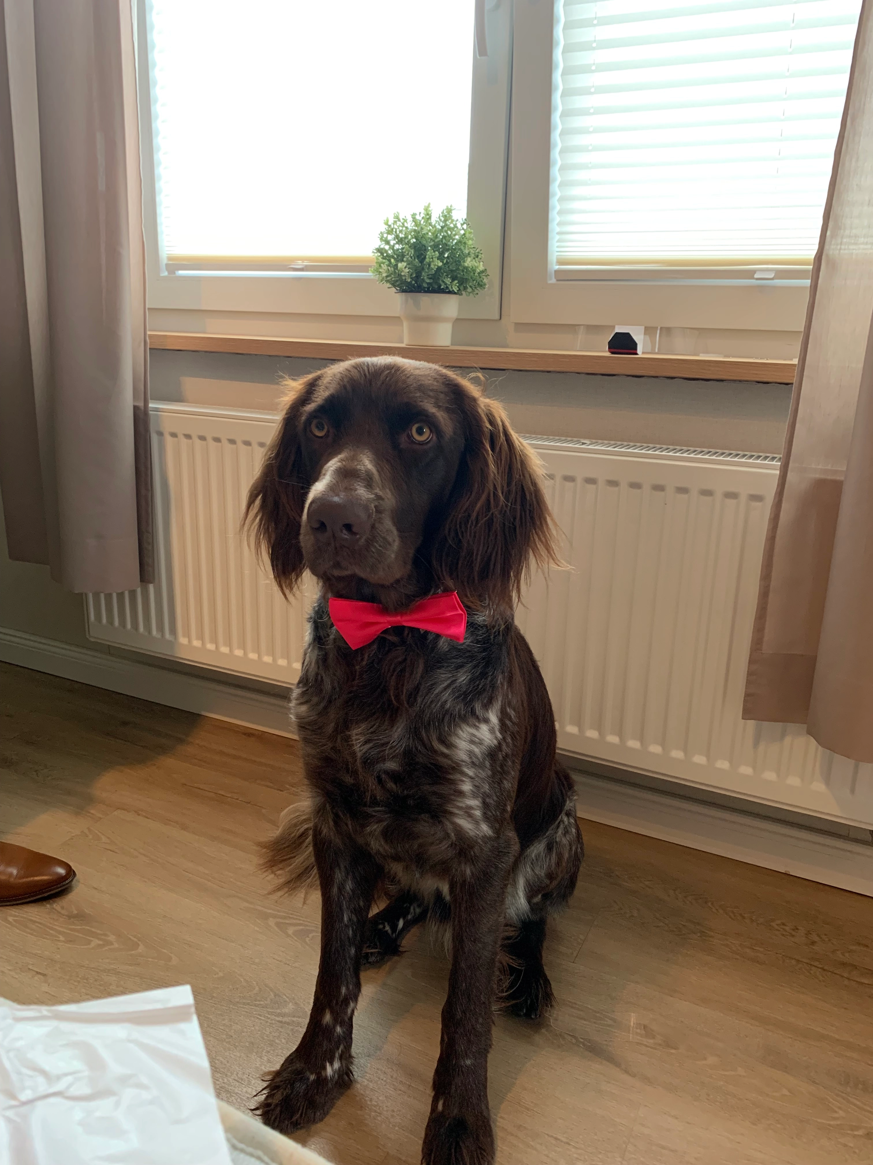 Paul  - Siebenbergen, Leer