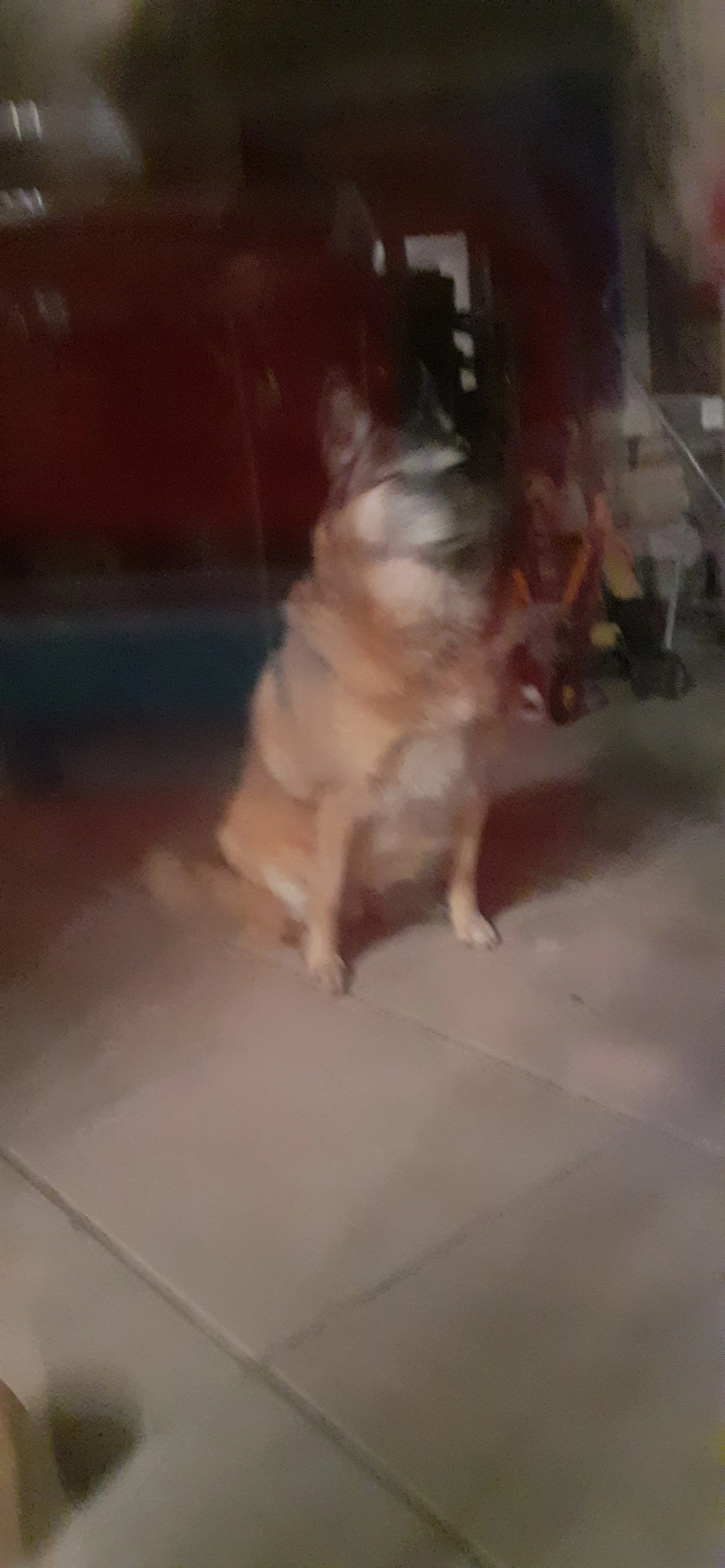 Laly  - Route de Donzac, Donzac