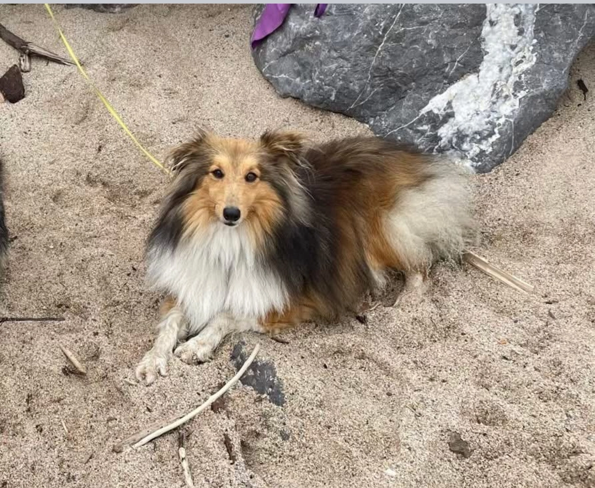 Hélios - Camping La Rochelambert, Saint-Paulien