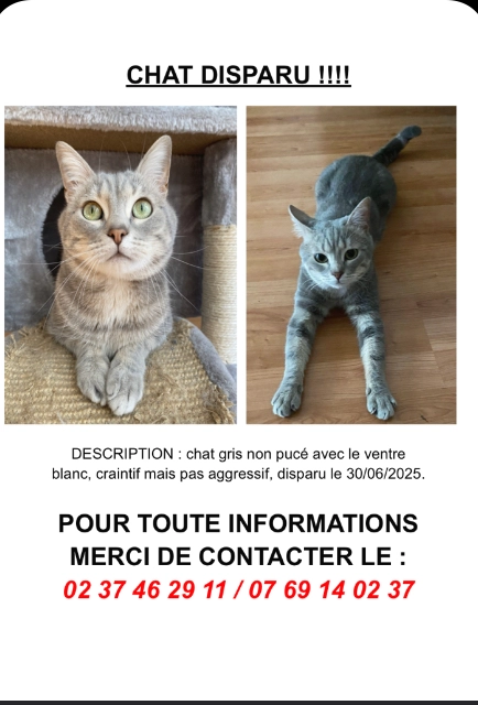 Mimiche - 11 Rue du Parisis, Dreux