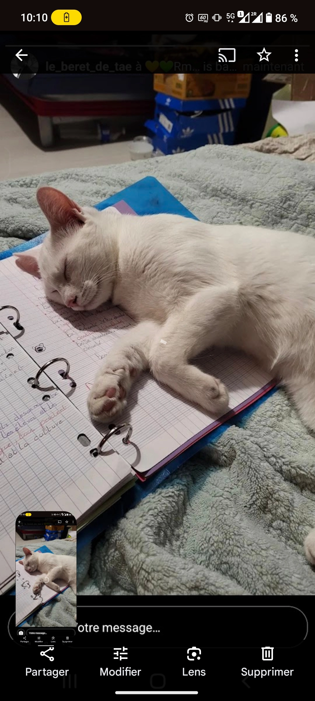 Sutlaç - Rue De La Chapelle, Le Temple-de-Bretagne