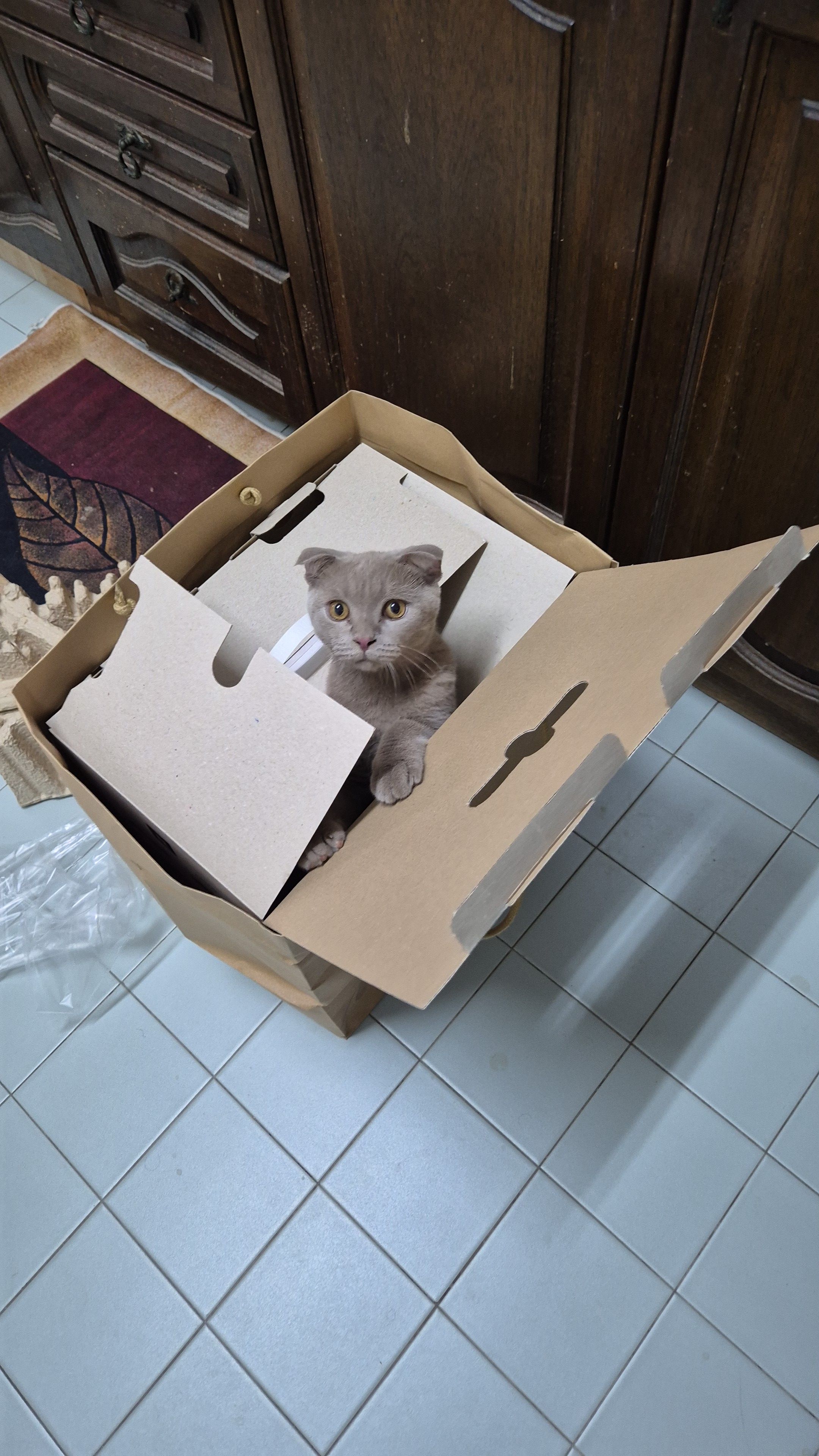 Chiko  - Jalan Teluki 3A, Bukit Sentosa