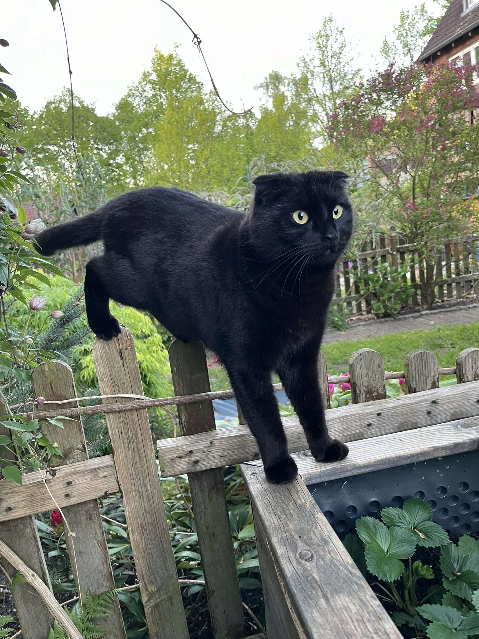 Ragna - Wiener Allee, Kiel