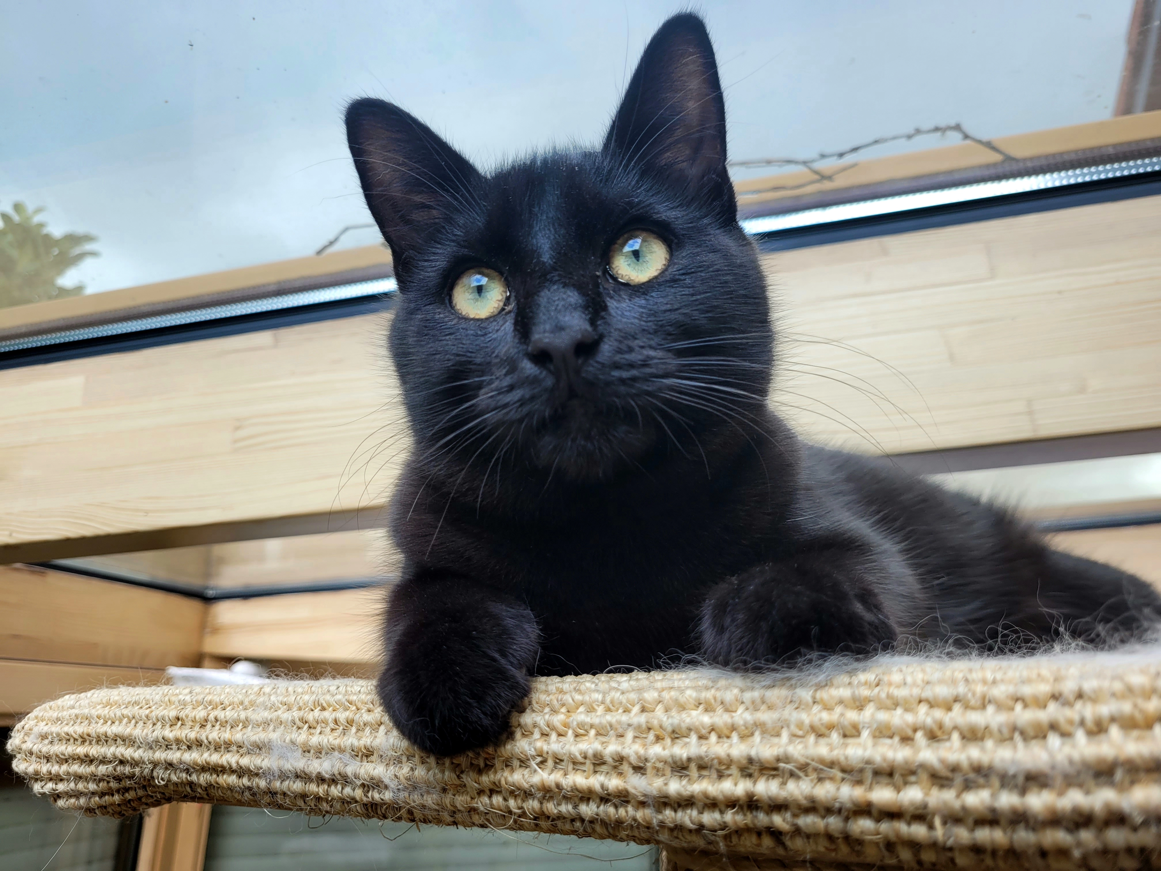 Mogli - Wirzmannsberg 9d, 94121Salzweg