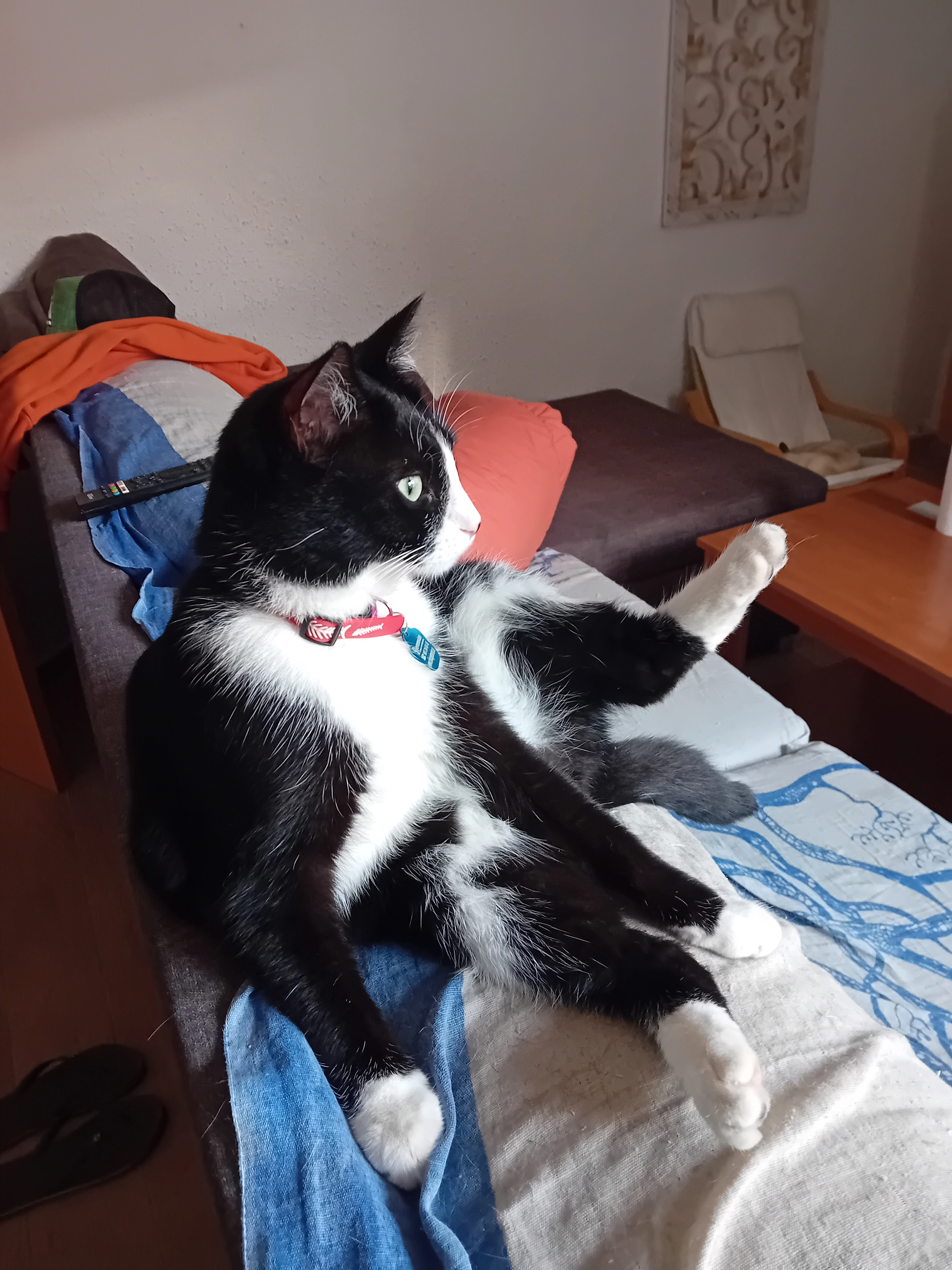 Oreo - Calle de Uruguay 5, Alicante