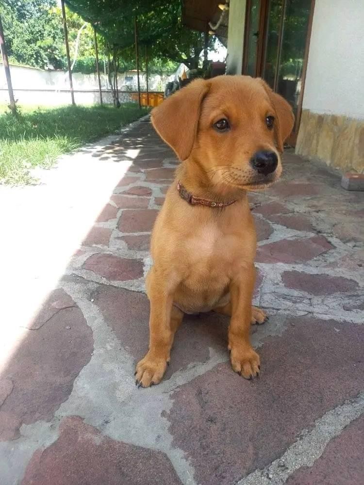 Tummy - Бул. Драган Цанков, Sofia