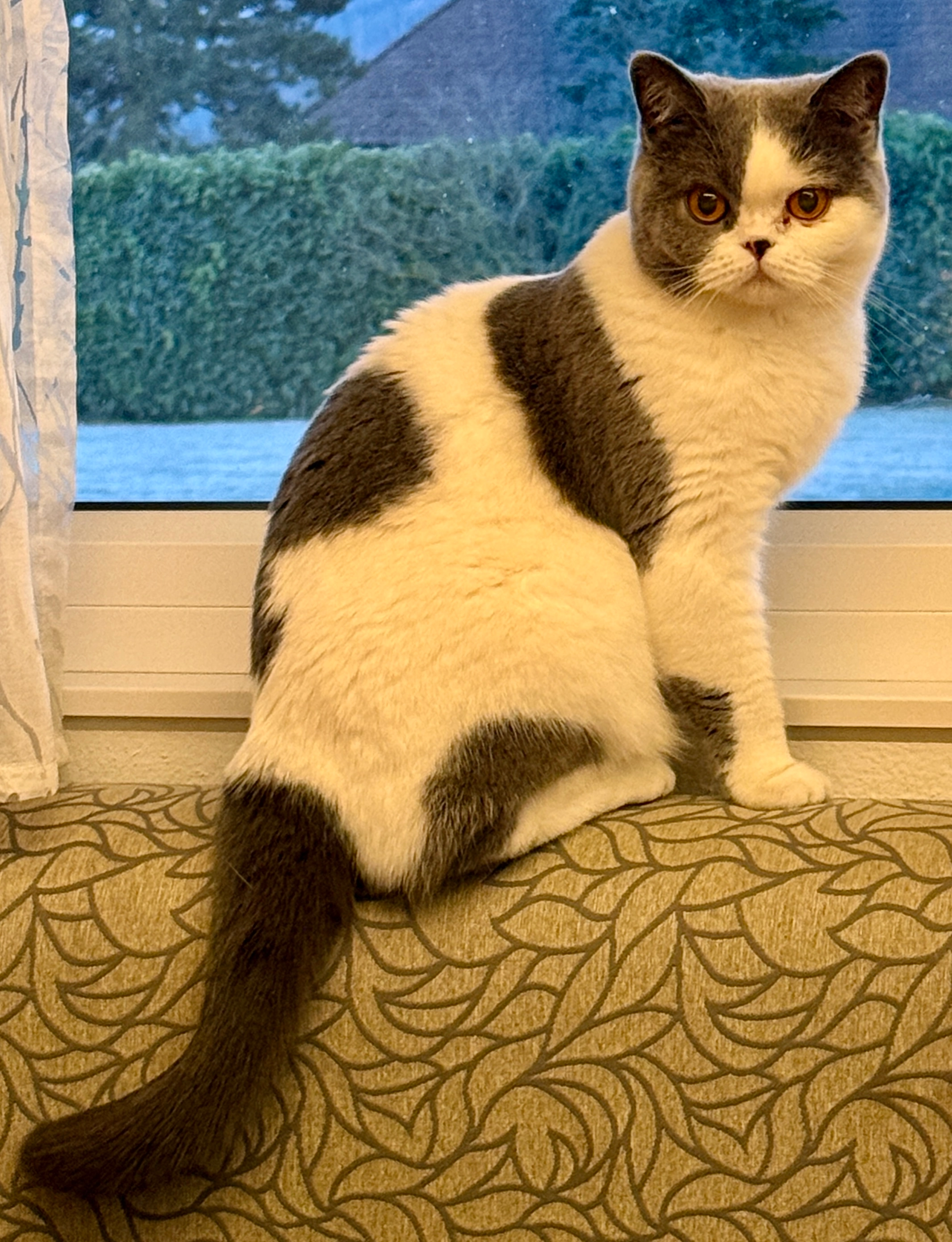 Ilvy - Jungmairweg, Molln