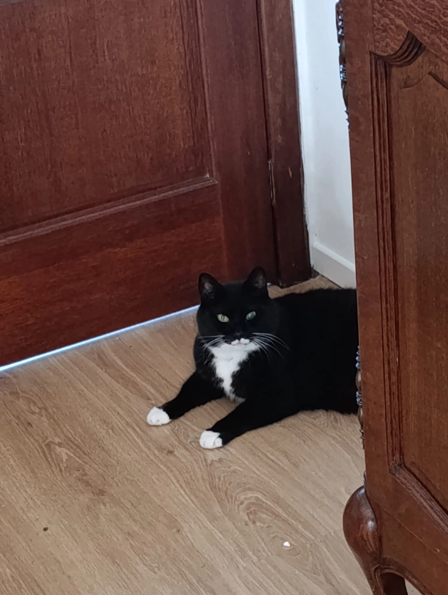 Asse - Rue De La Victoire, La Louvière