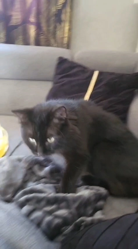 Abci - Allée des Fougères, Mont-près-Chambord