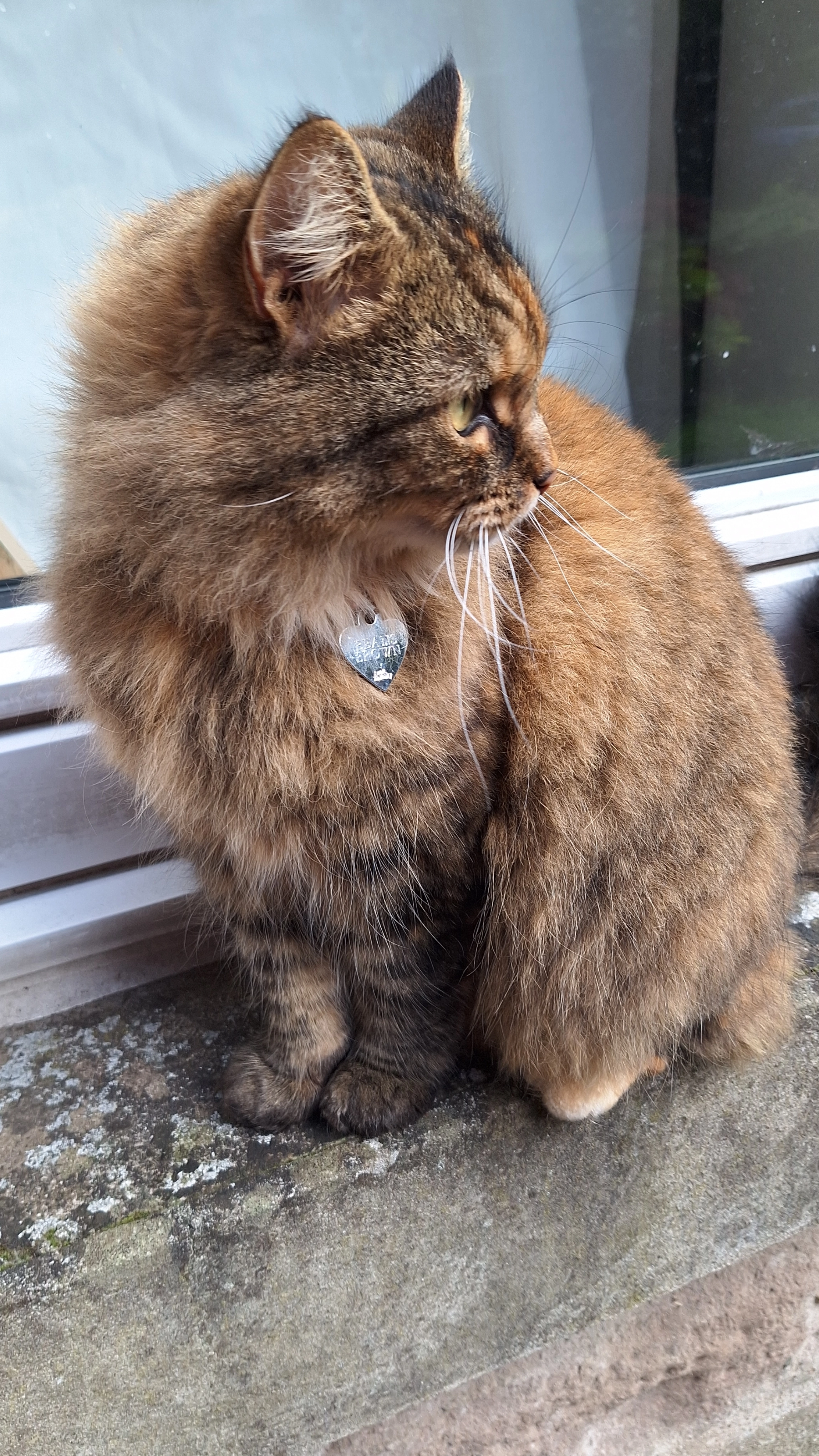 Beans - 179A Blackness Road, Dundee