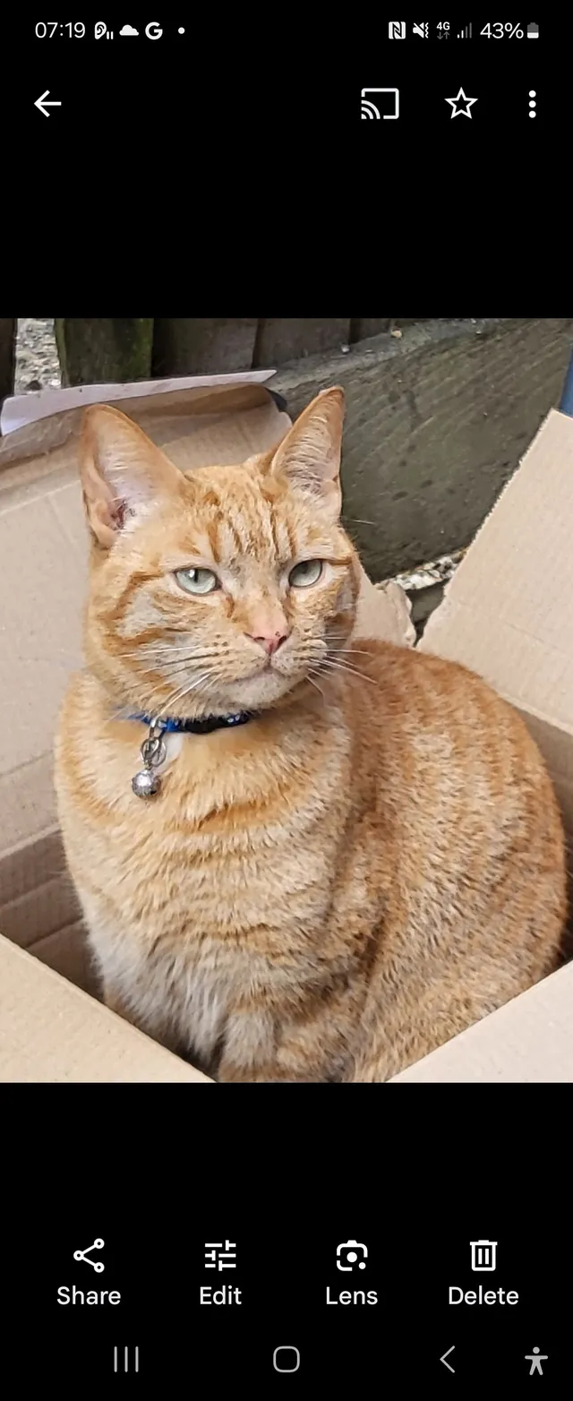 Flop - Wilson Road, Tonbridge