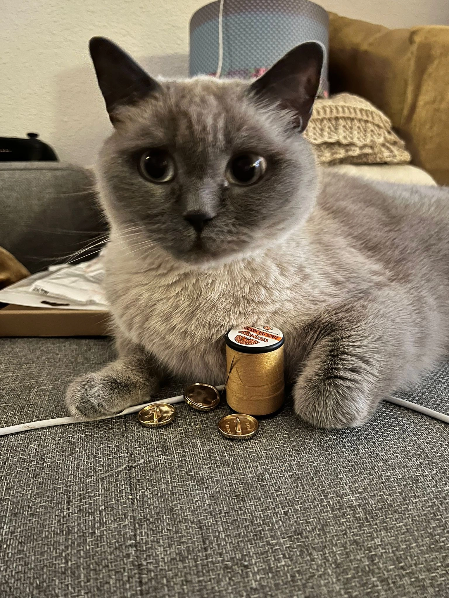 Elmo - Krautgartenweg, Stadtbergen