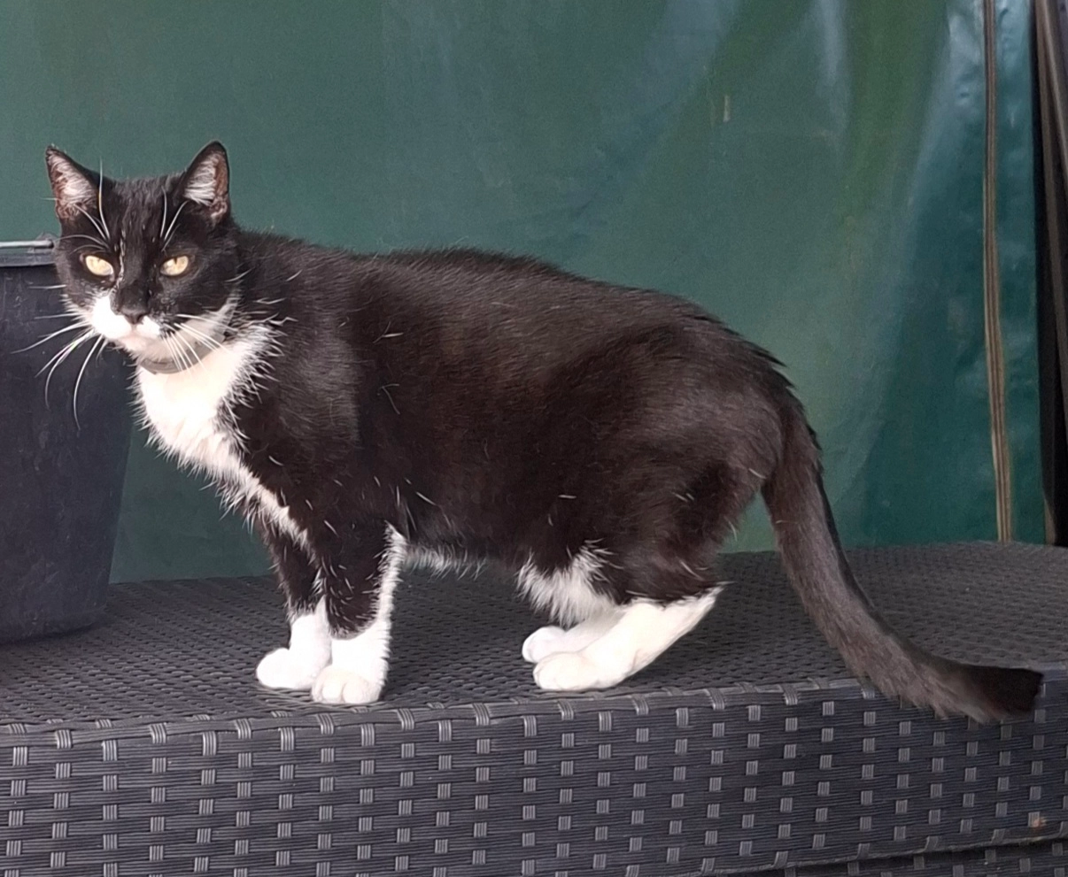 Lisa - An den Wadehängen, Schwerin