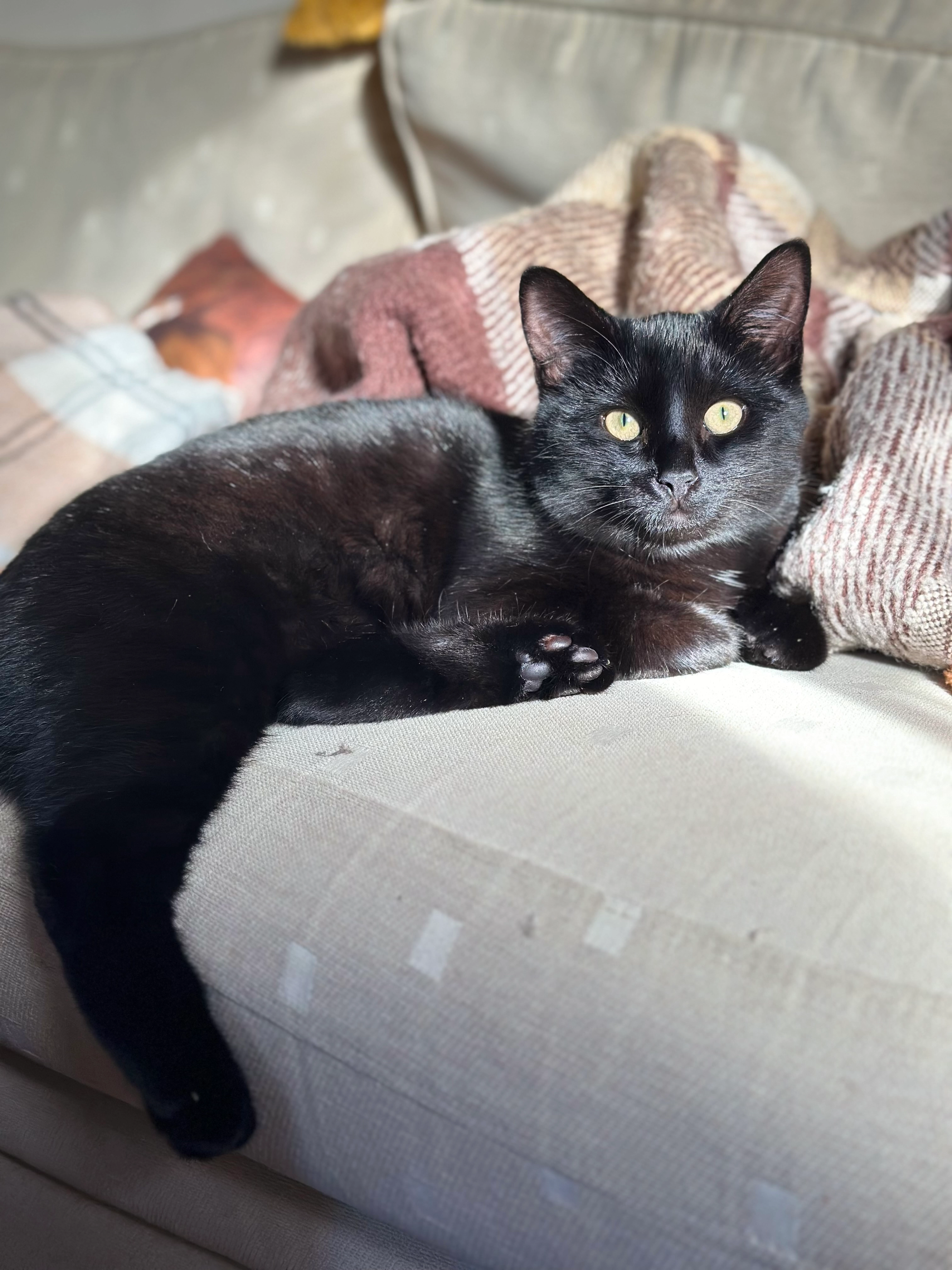 Shadow - OX7 5, Chipping Norton