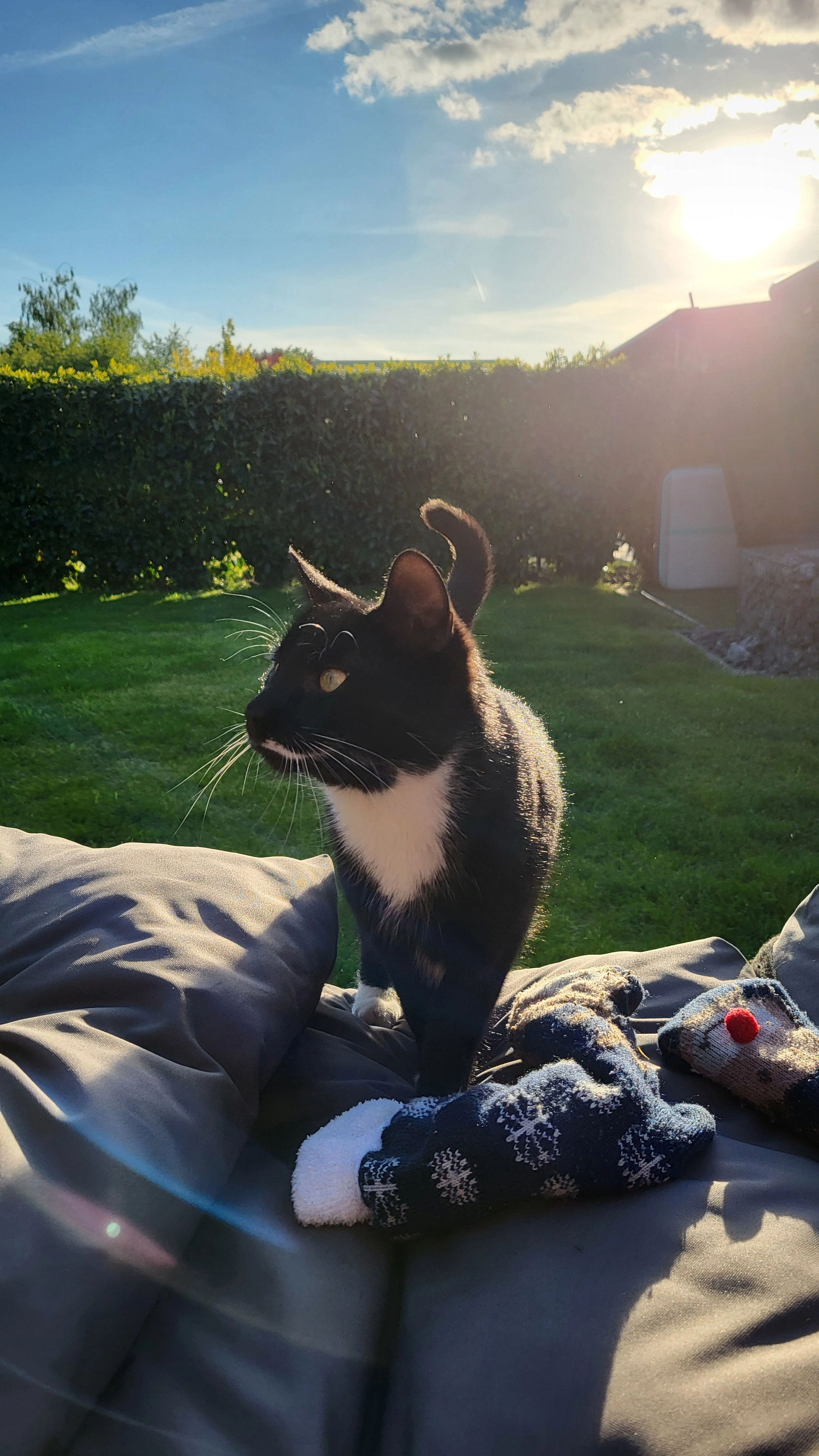 Tokio - Dresdener Straße, Wolfsburg