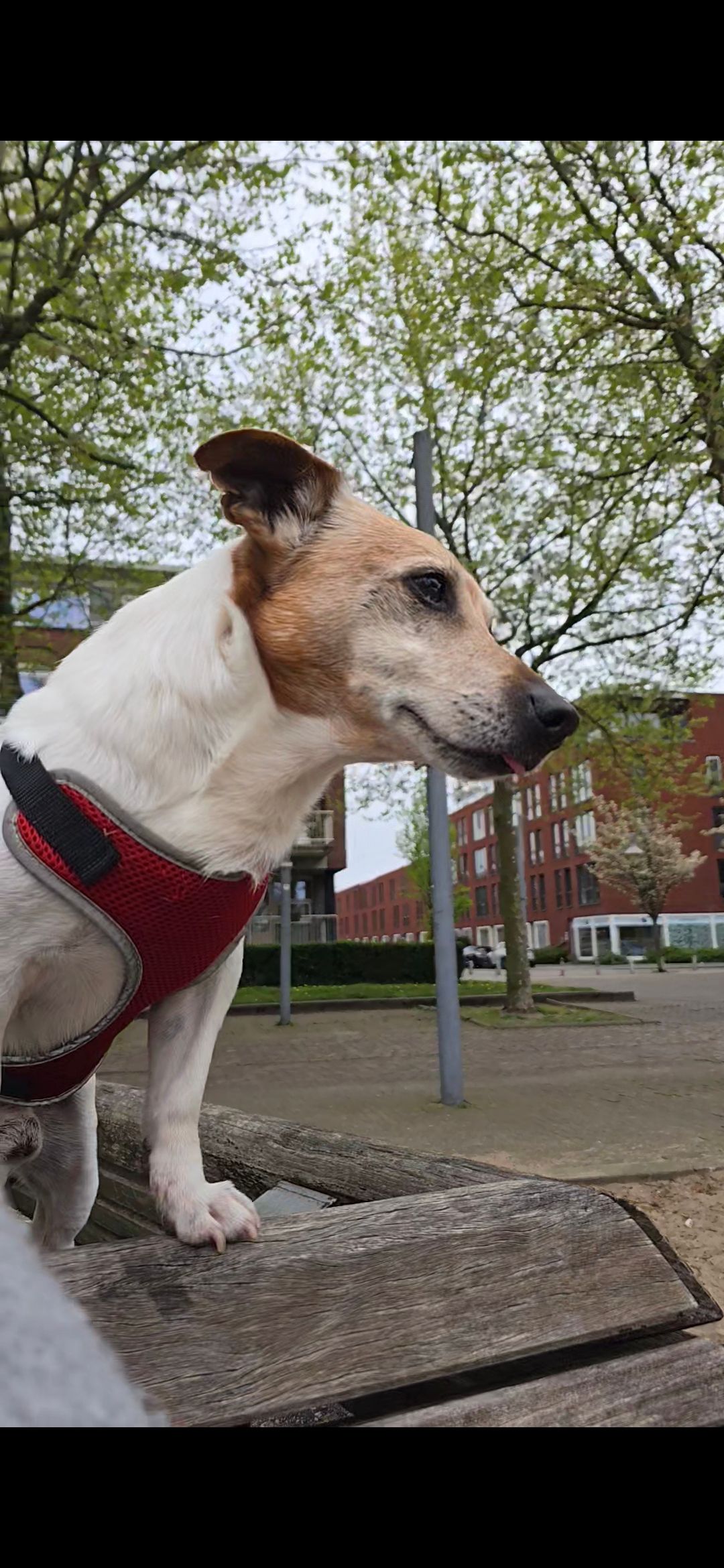 Dïego - Gerrit van de Lindestraat, Rotterdam
