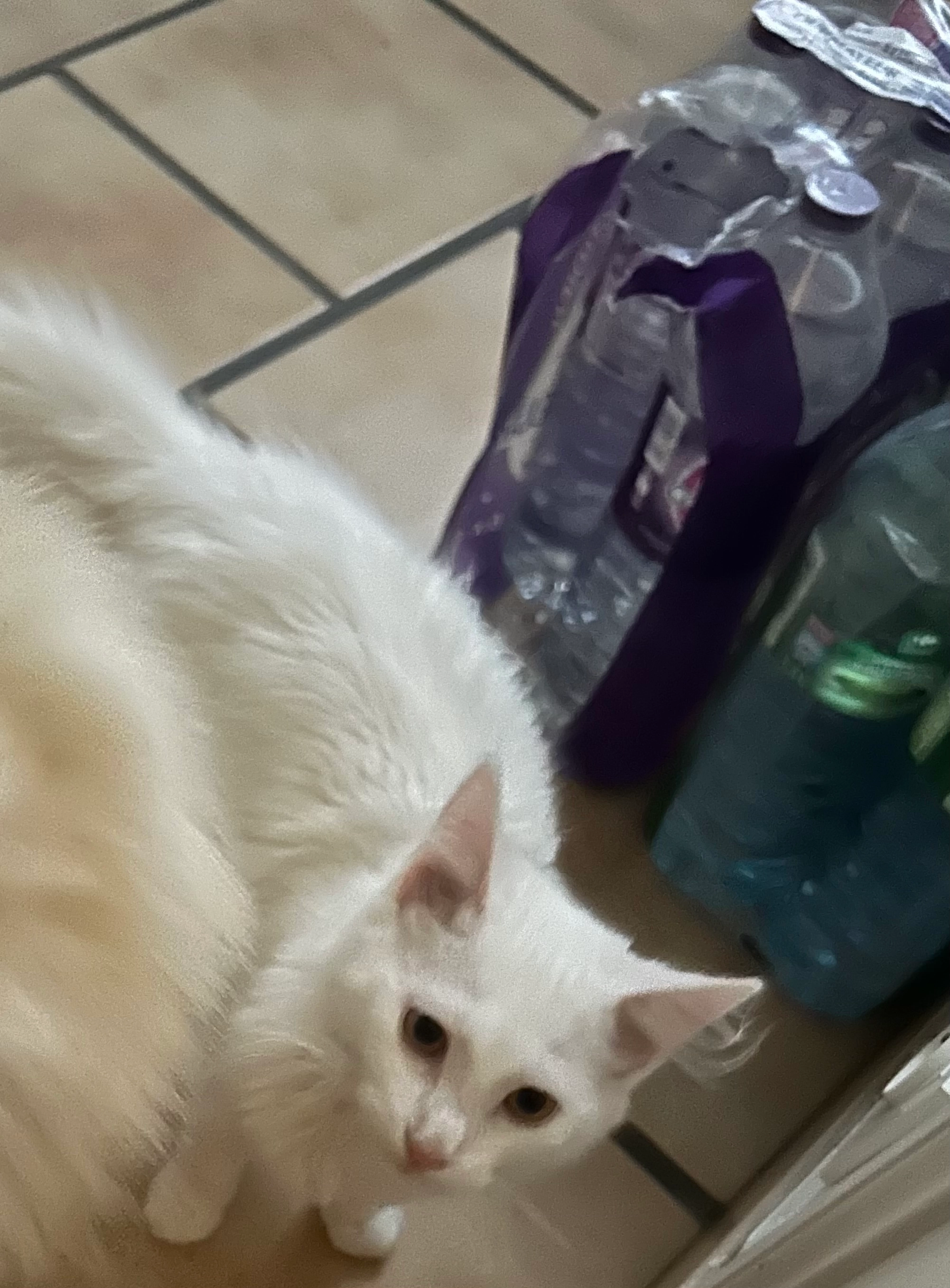 Baki - 68 Rue Lézerat, Châteauroux