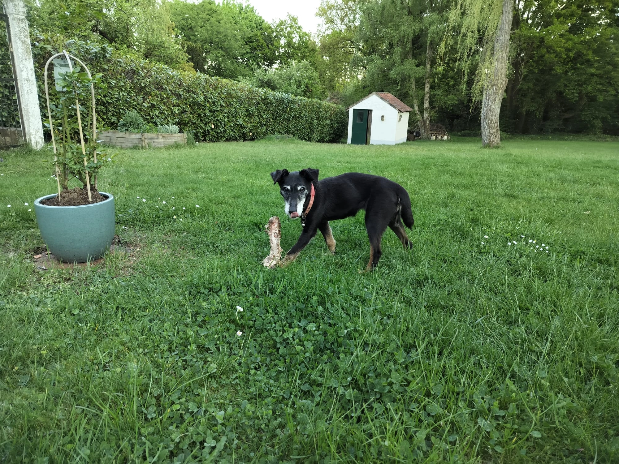 Gheera - Rue Du Bois Du Bosquet, Rixensart
