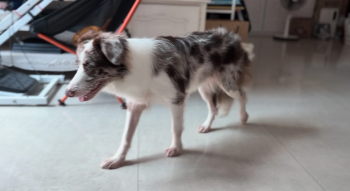 Ruby - Jalan Berjaya, Singapore