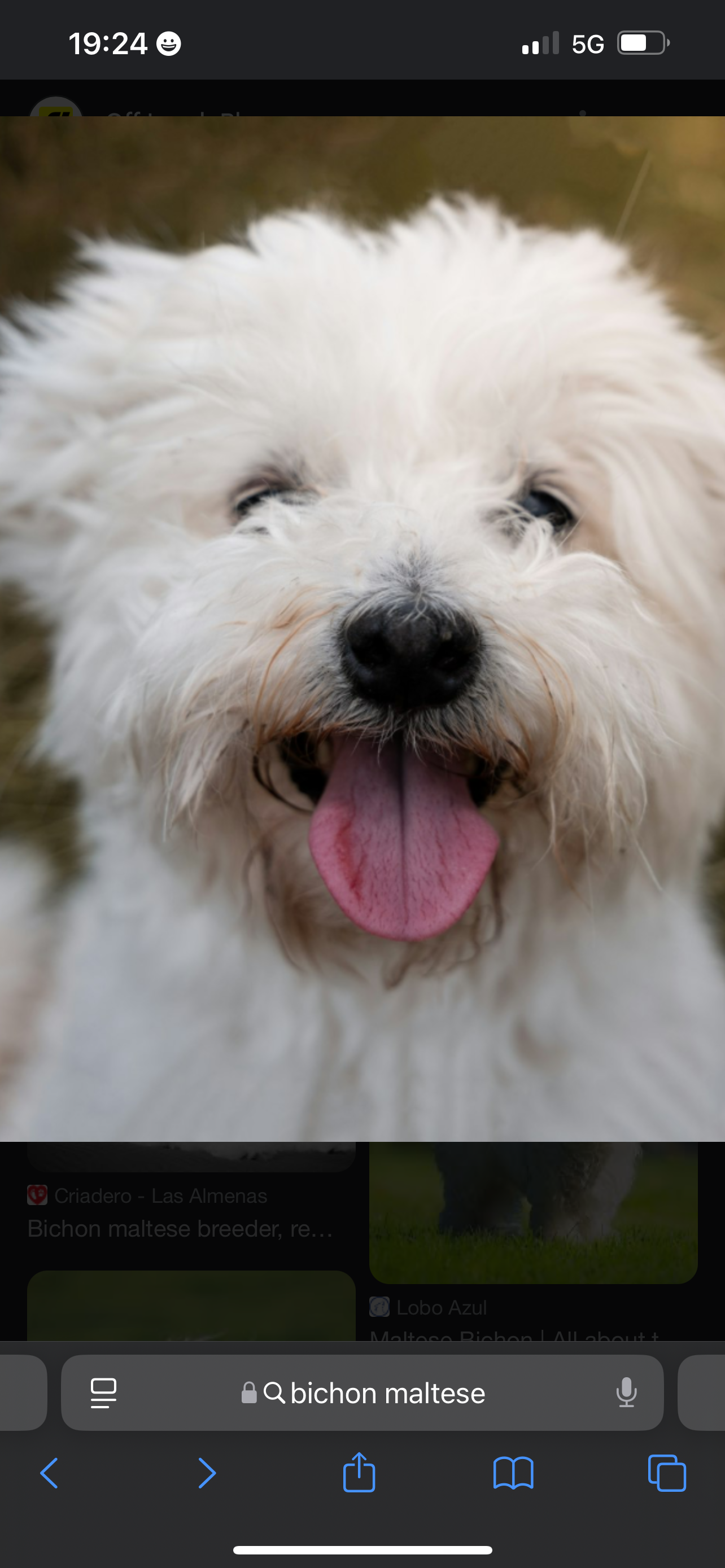 Cassy - Caledon Road, London