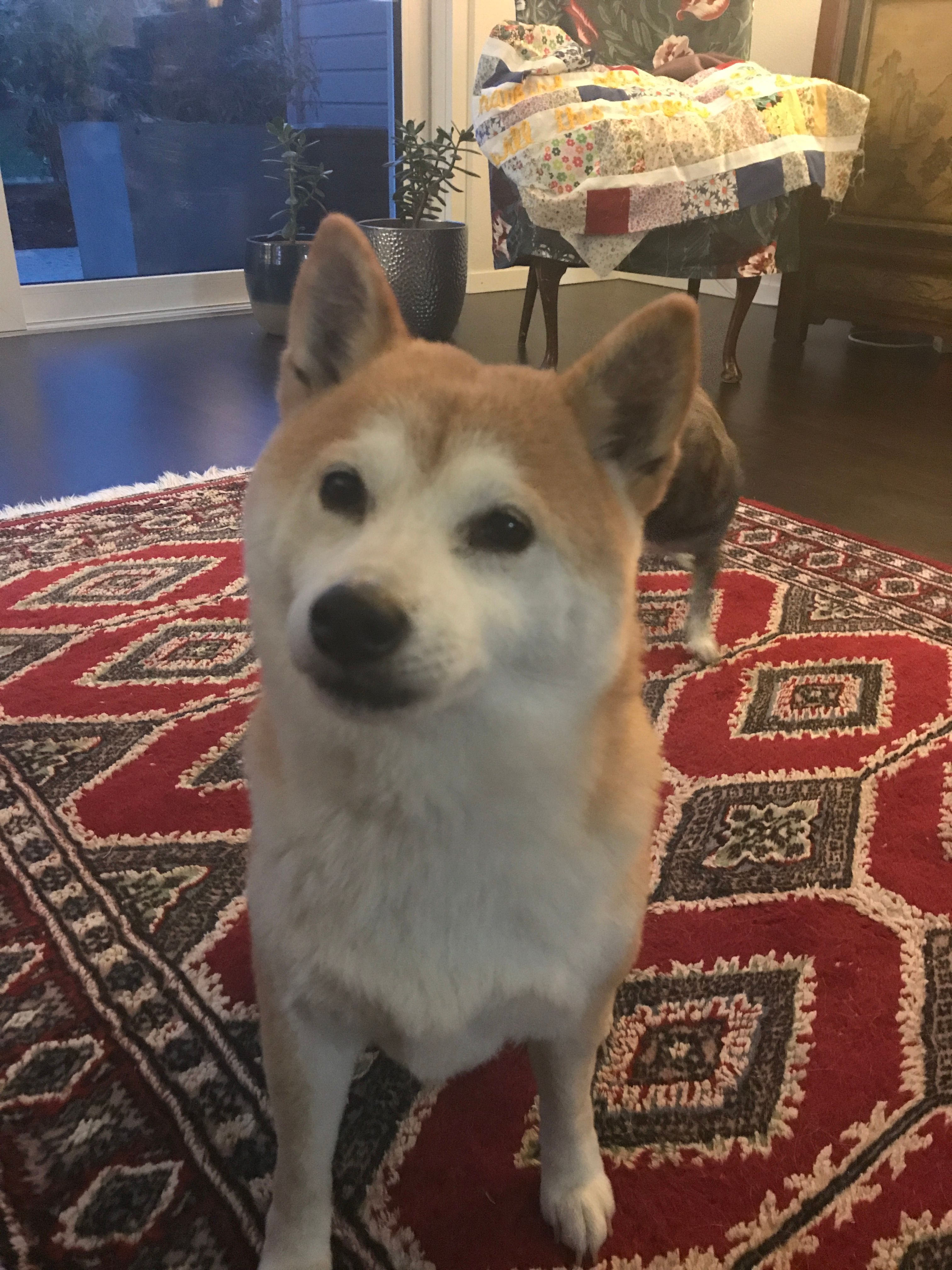 Keiko - Wytimatte, Lauterbrunnen