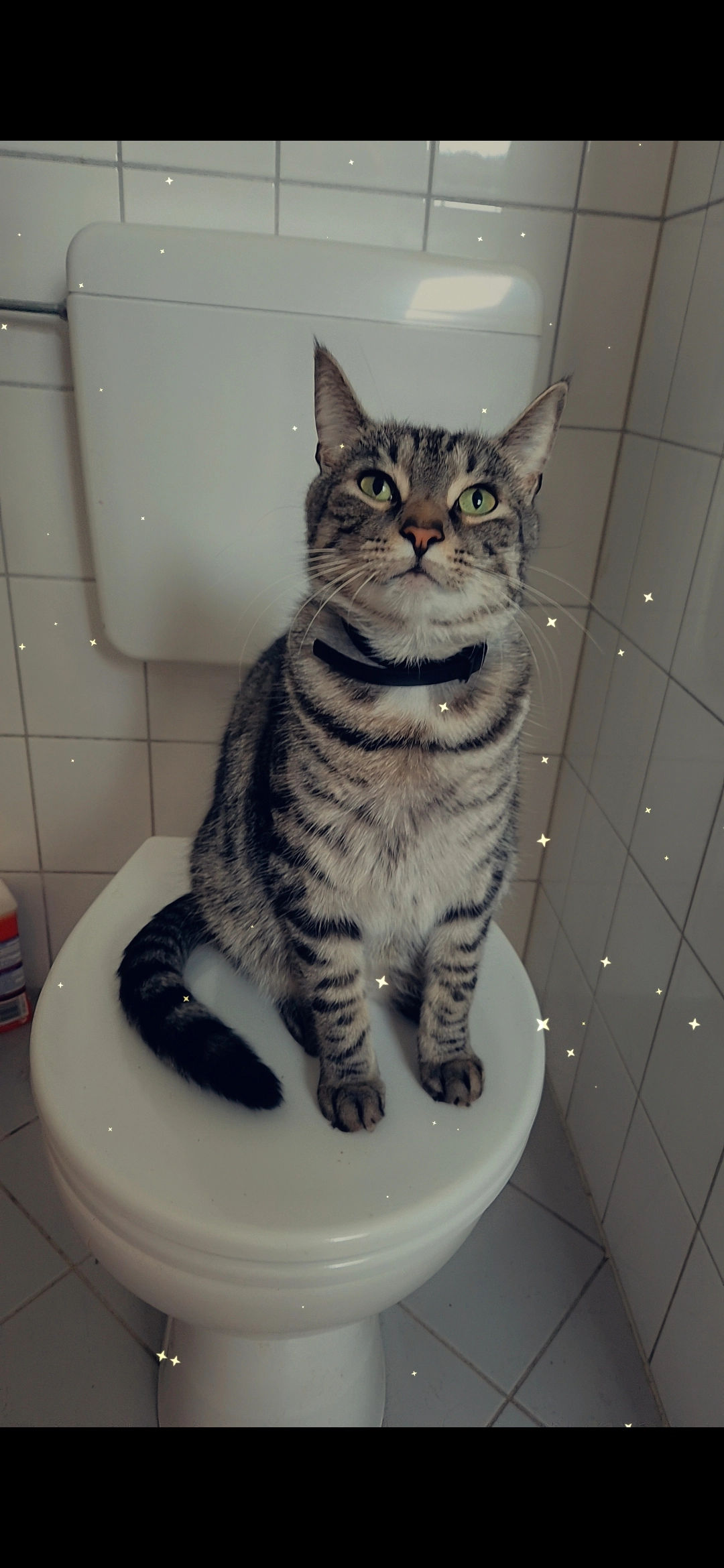 Skye - Husarenweg, Saarlouis