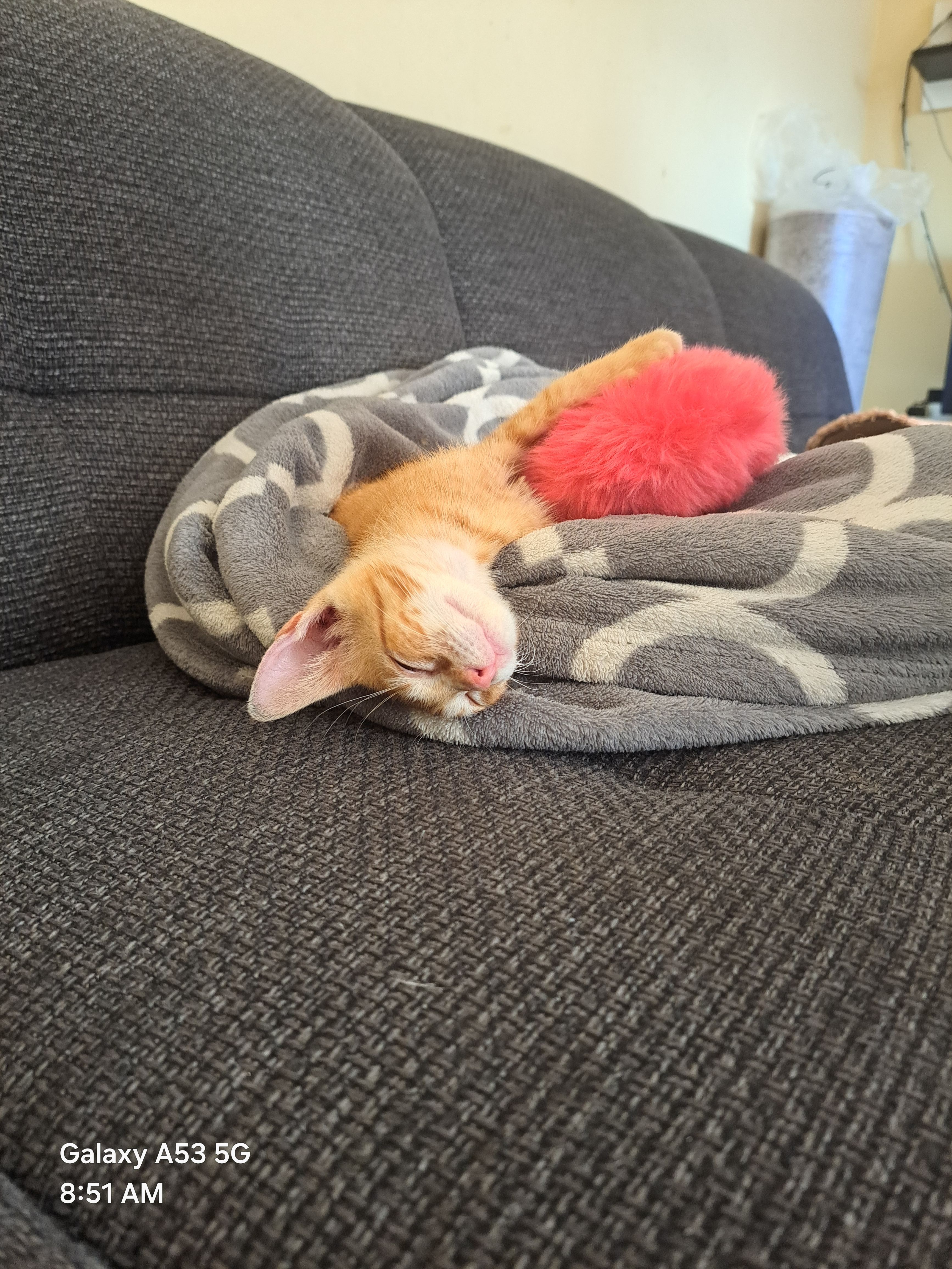 Tiger  - Stupska, Ilidža