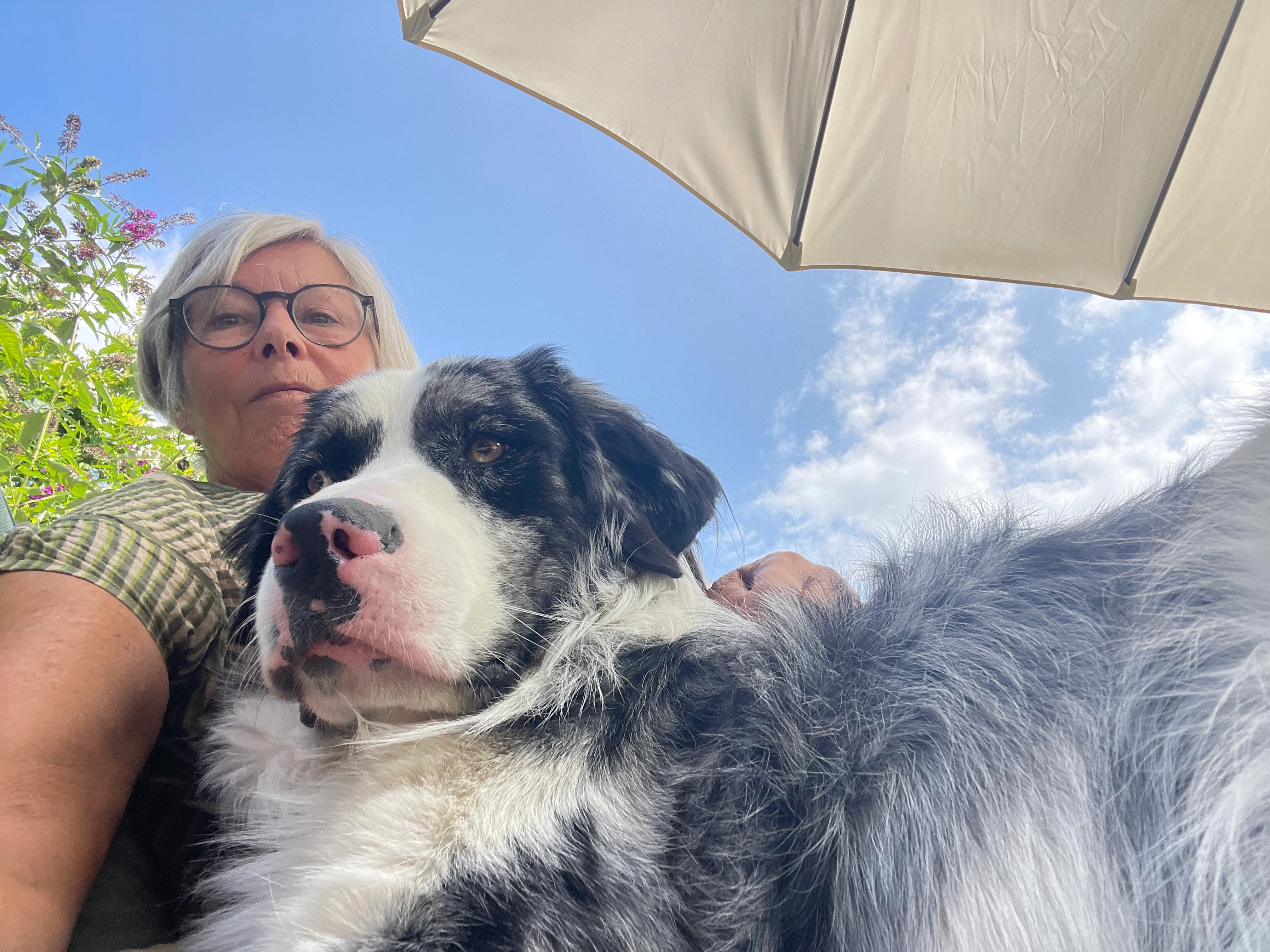 Ted - Lijsterbeslaan, Leusden