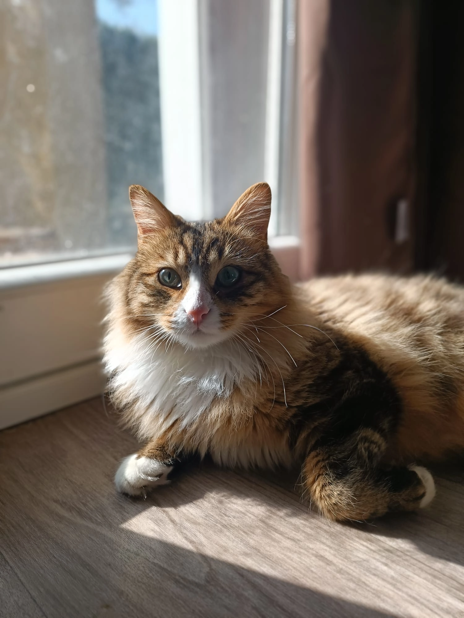 Malow - Hameau de la galotte , Rabastens-de-Bigorre