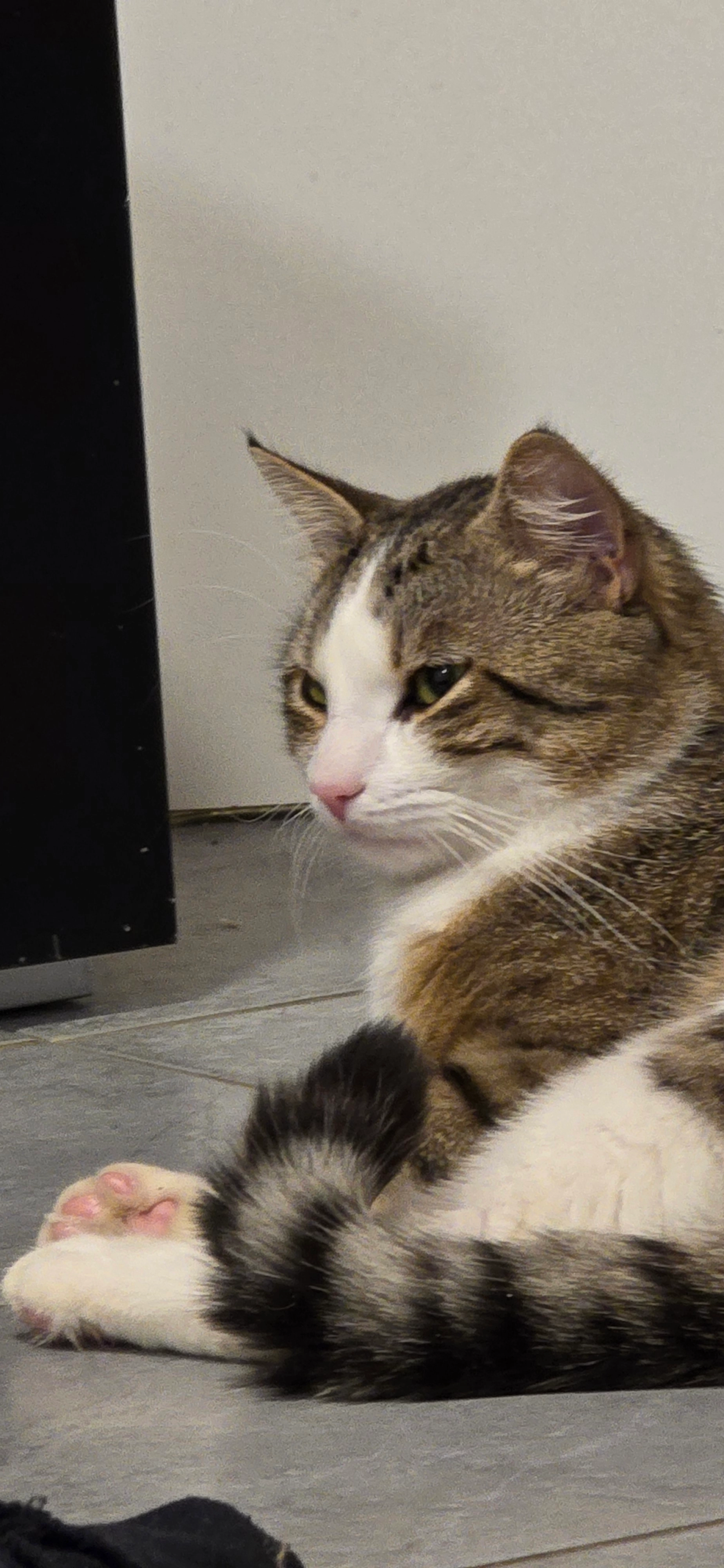 Soni - Hauptstraße, Hilzingen