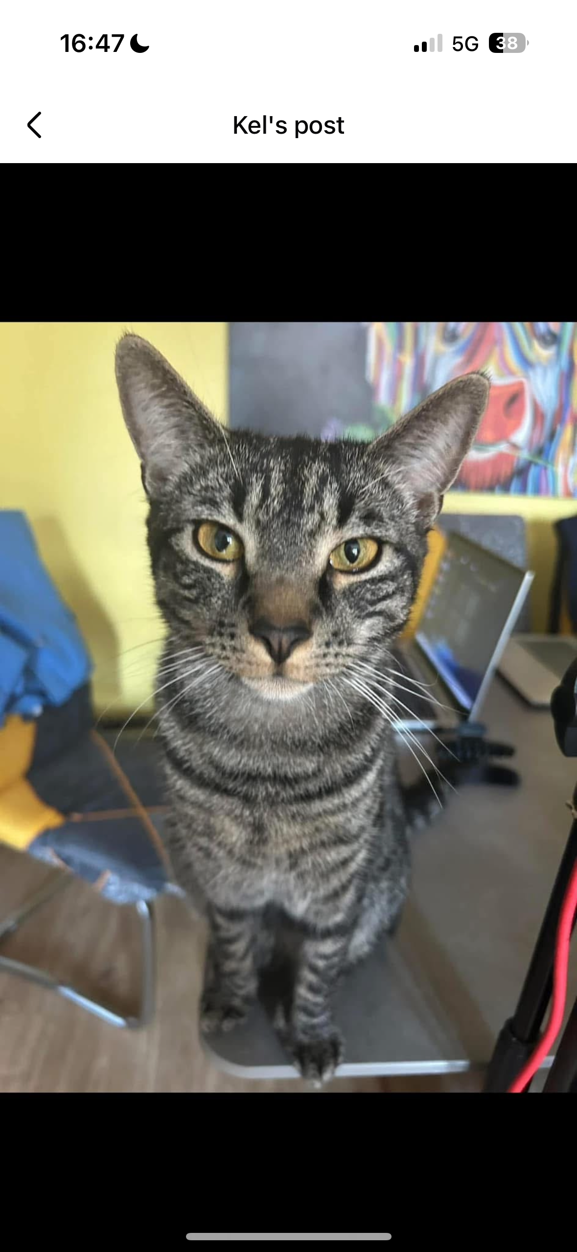 Oreo - Merkinch Place, Inverness