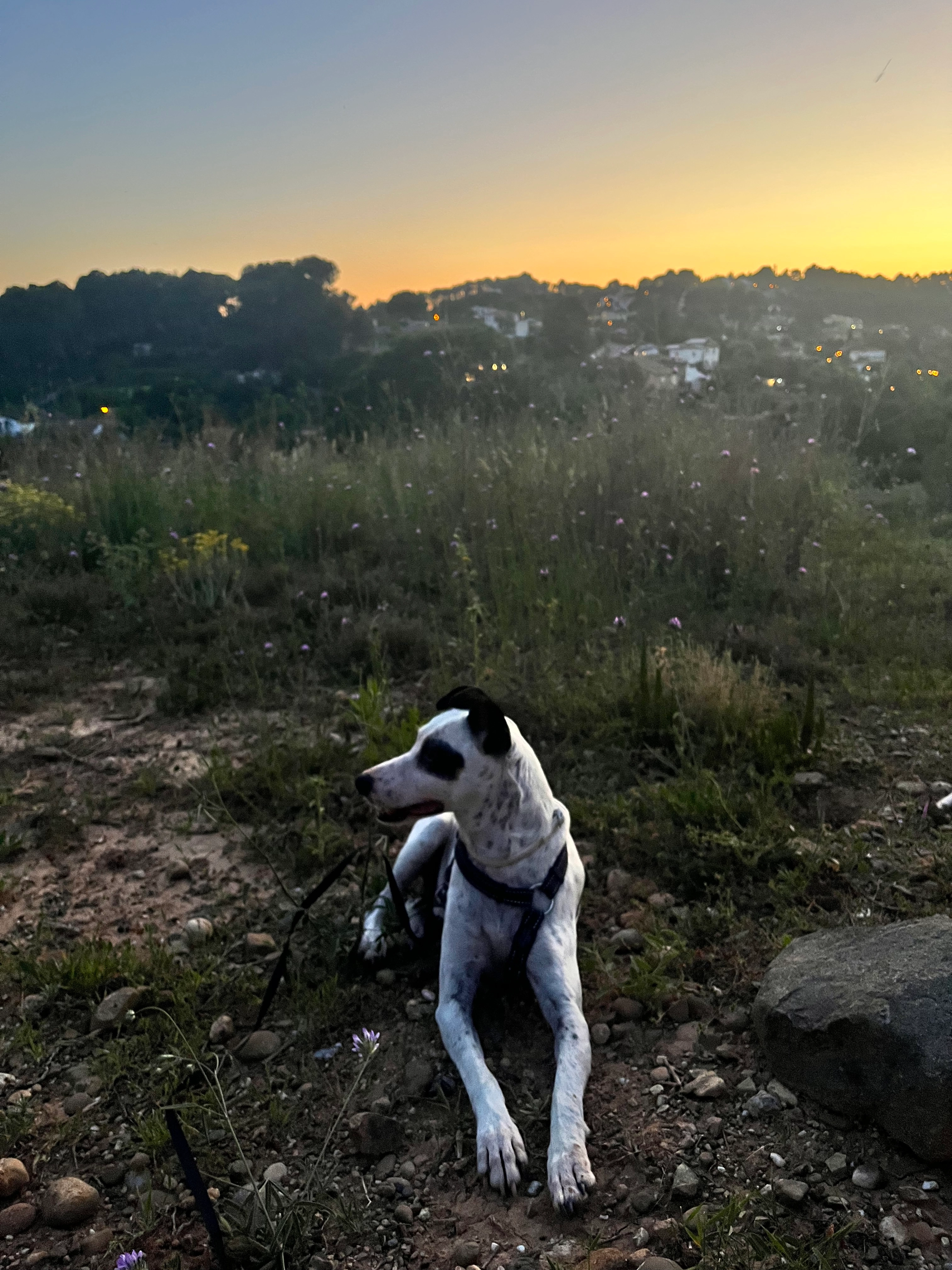 PIRATA - Camino de tierra que inicia cerca de la Masía Can Ramoneda, como a 1km , Rubí