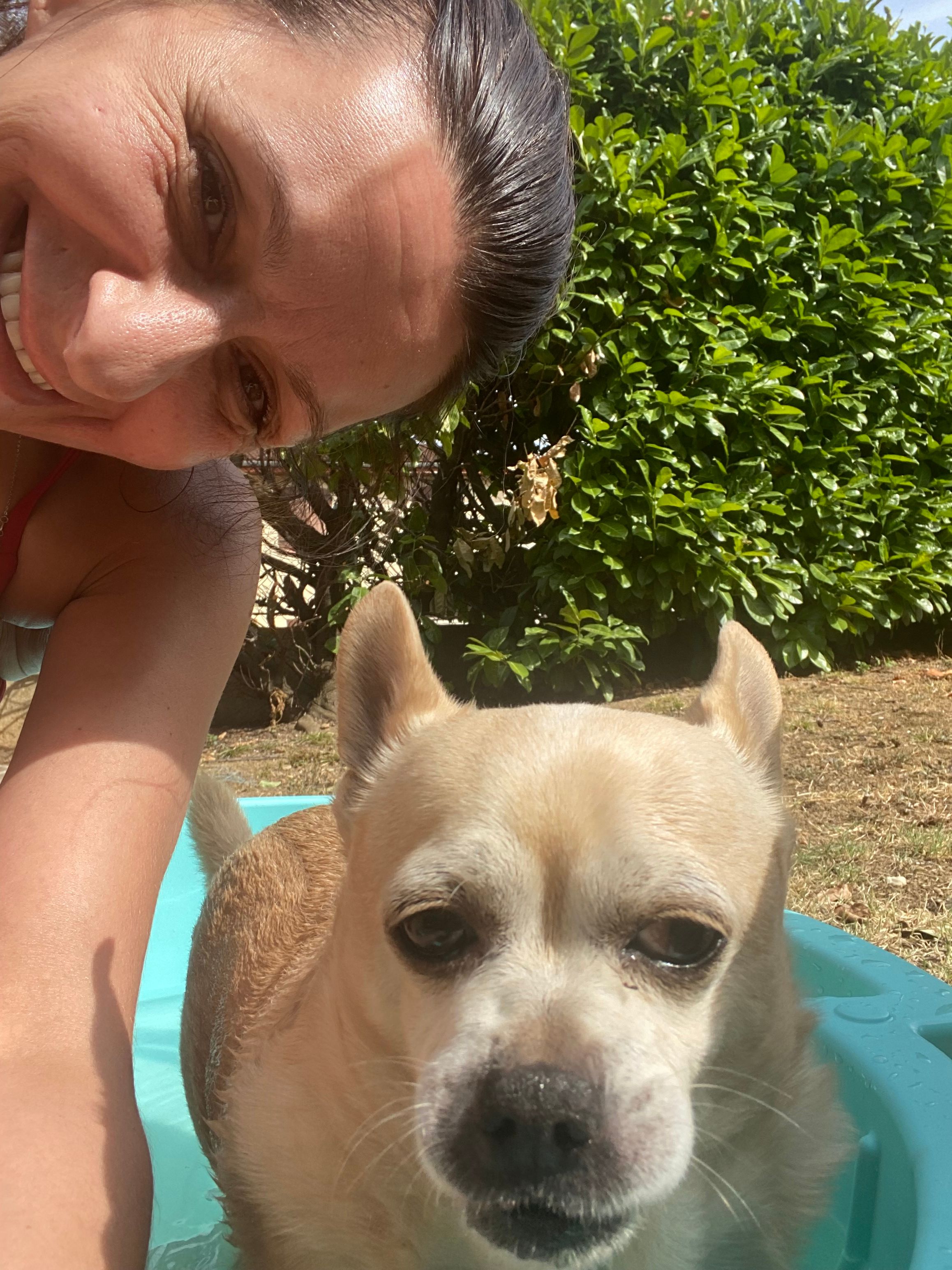 Guismo - 39 Rue Darius Milhaud, Castres