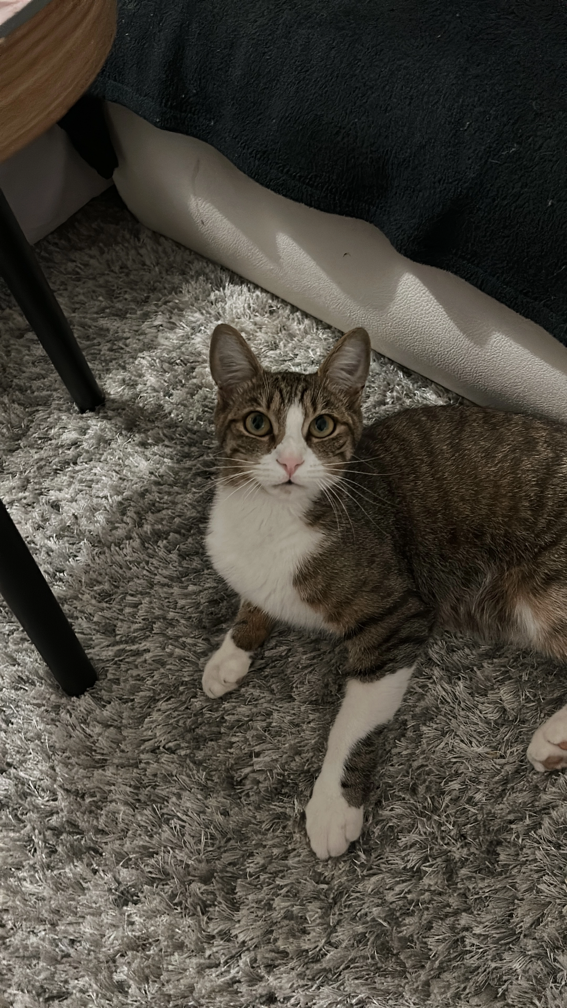 Boudy - Route de Miège 1, Sierre