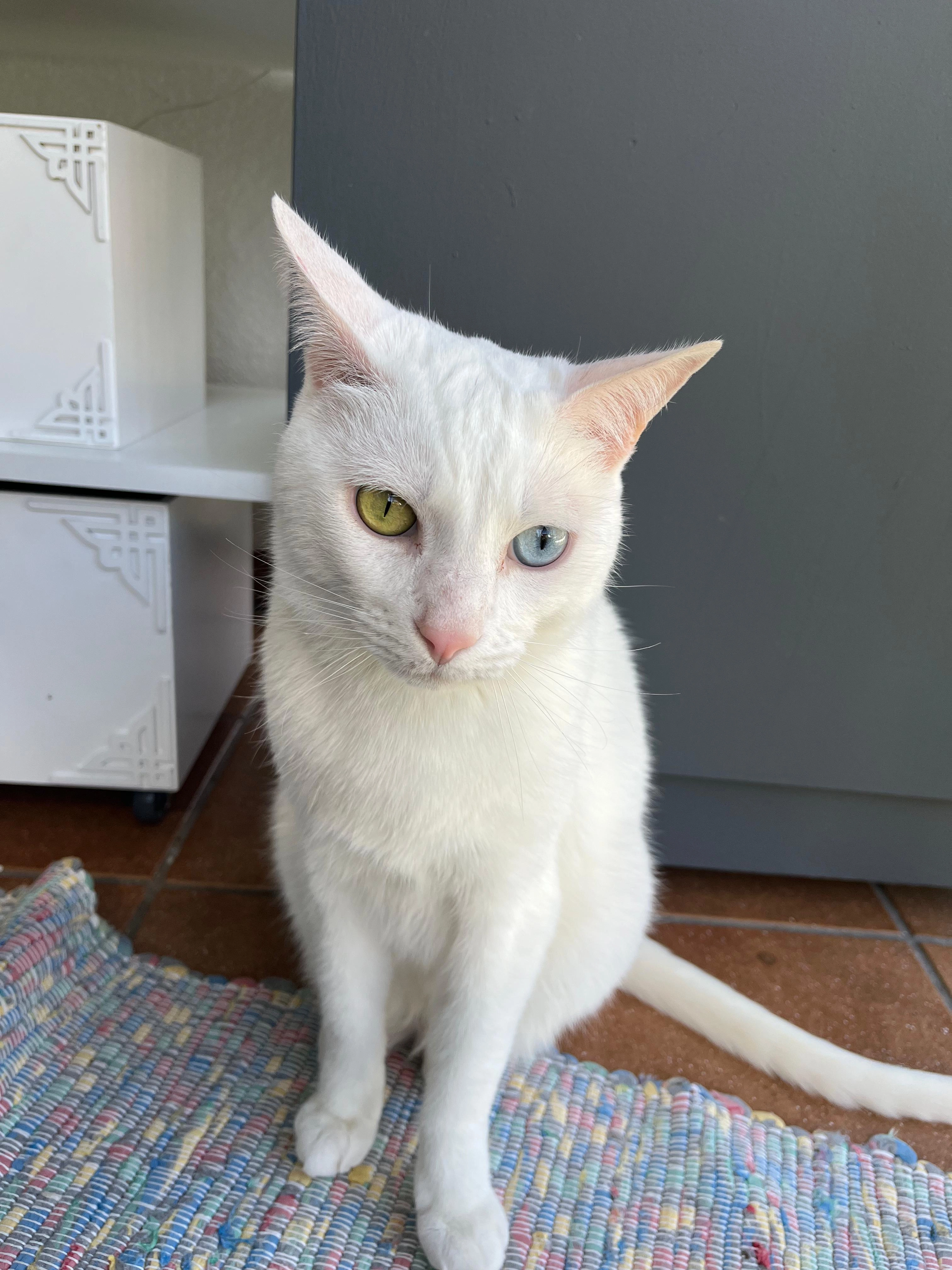 Milo - Hofstattstraße, Völklingen