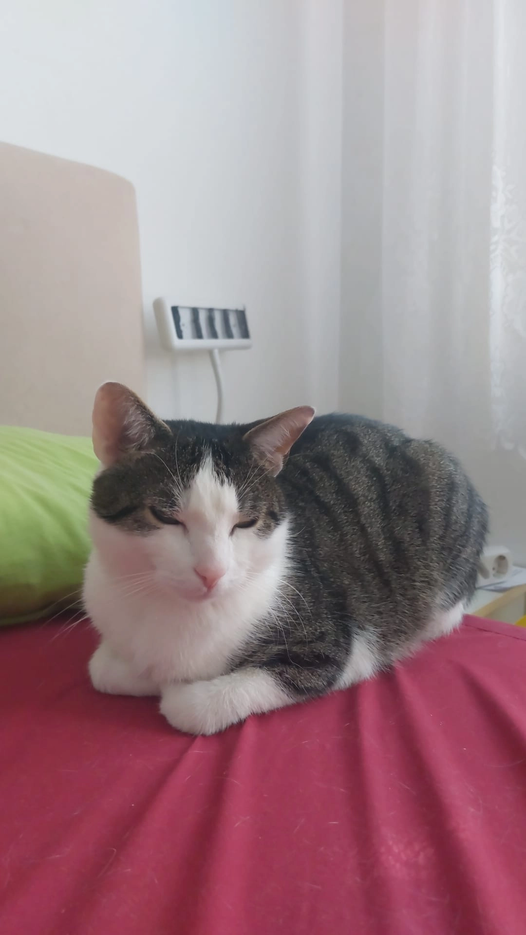 Coco - Hebbelstraße, Ingolstadt