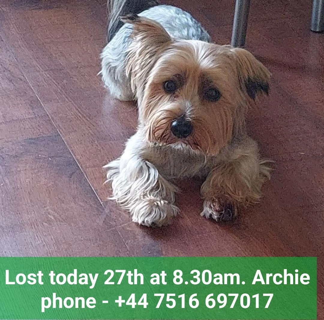 Archie - Goldwing Close, London
