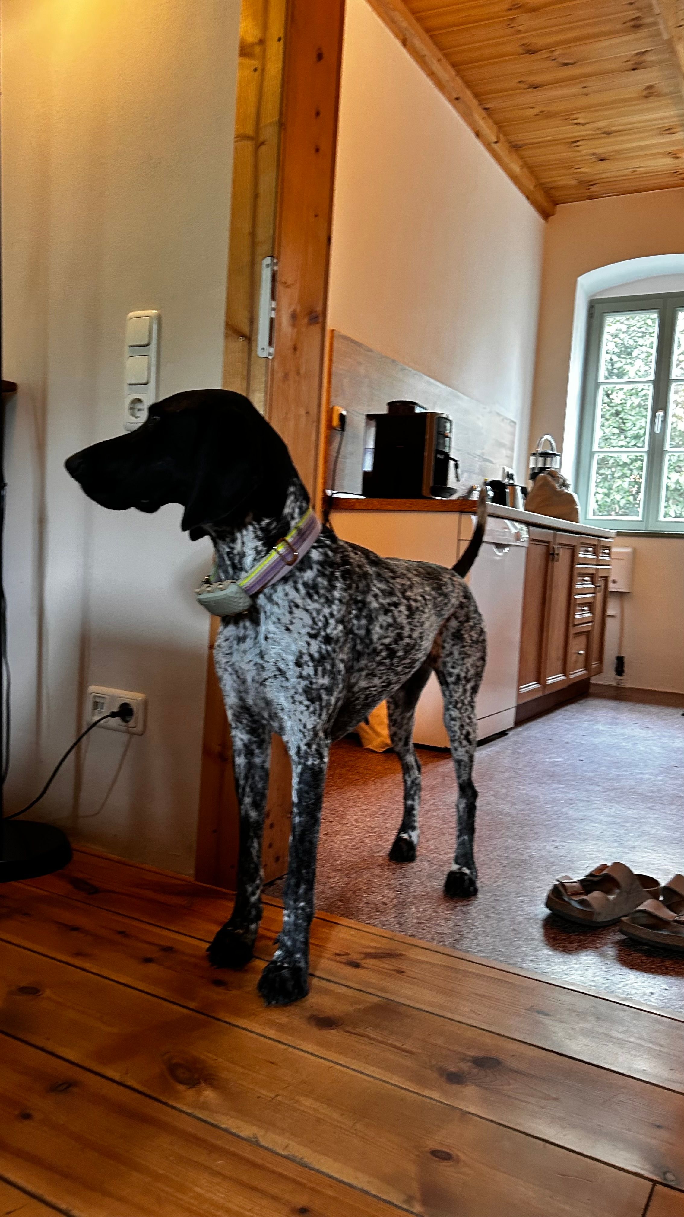 Lila - Teichweg 2, Klipphausen