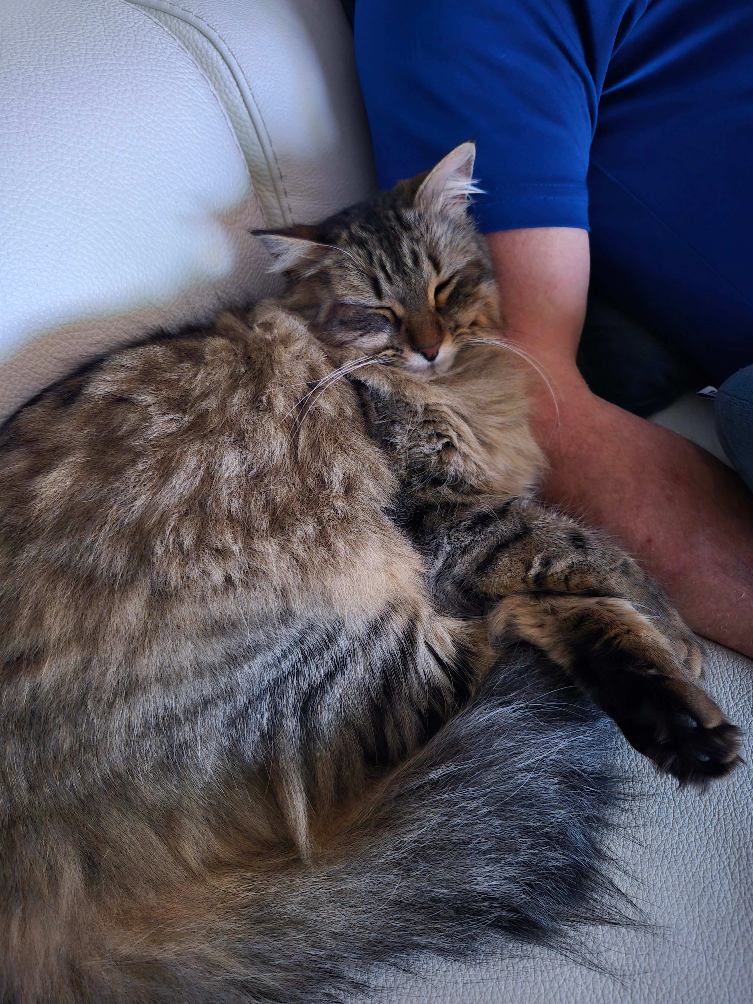 Louna - 4 avenue armand jean duplessy, Cap d agde