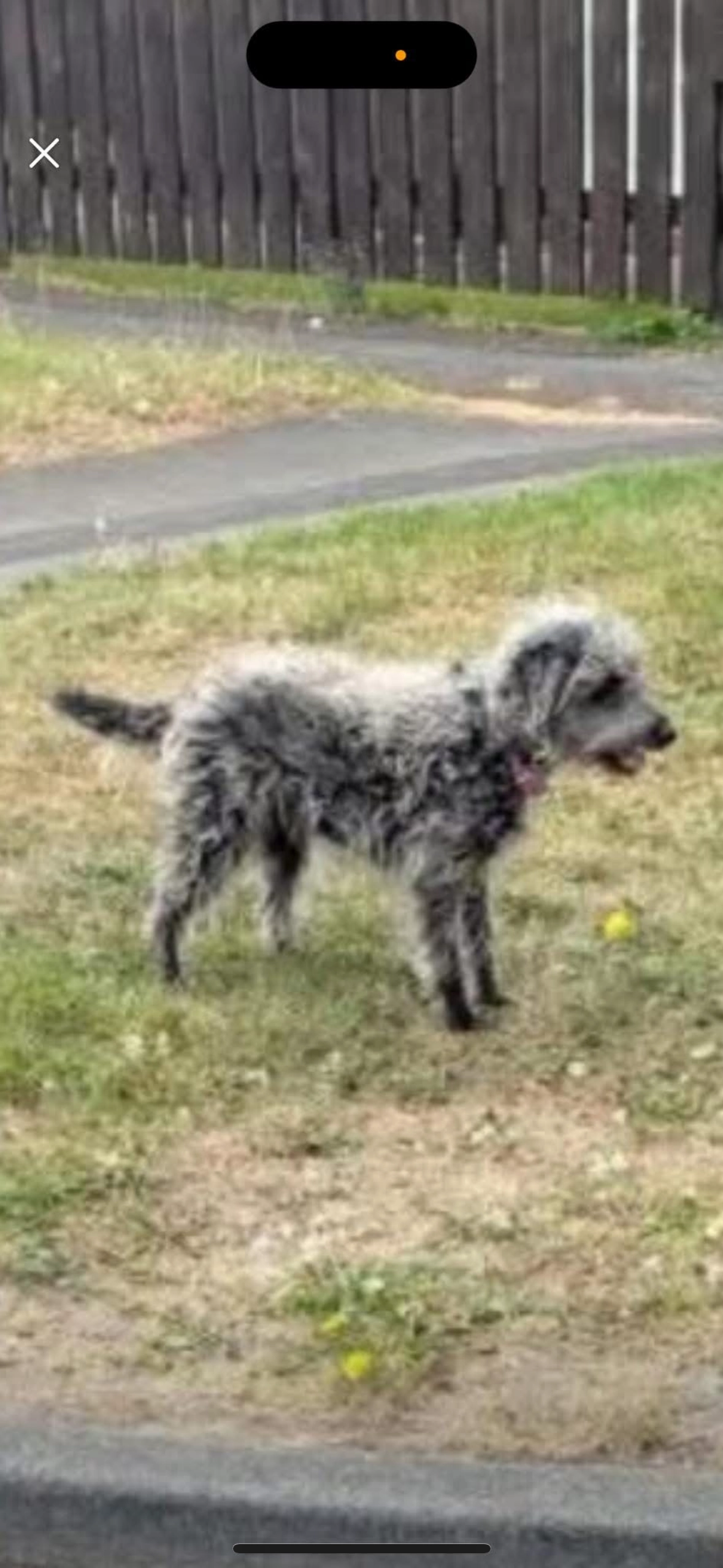 Lulu - Thornaby Road, Stockton-on-Tees