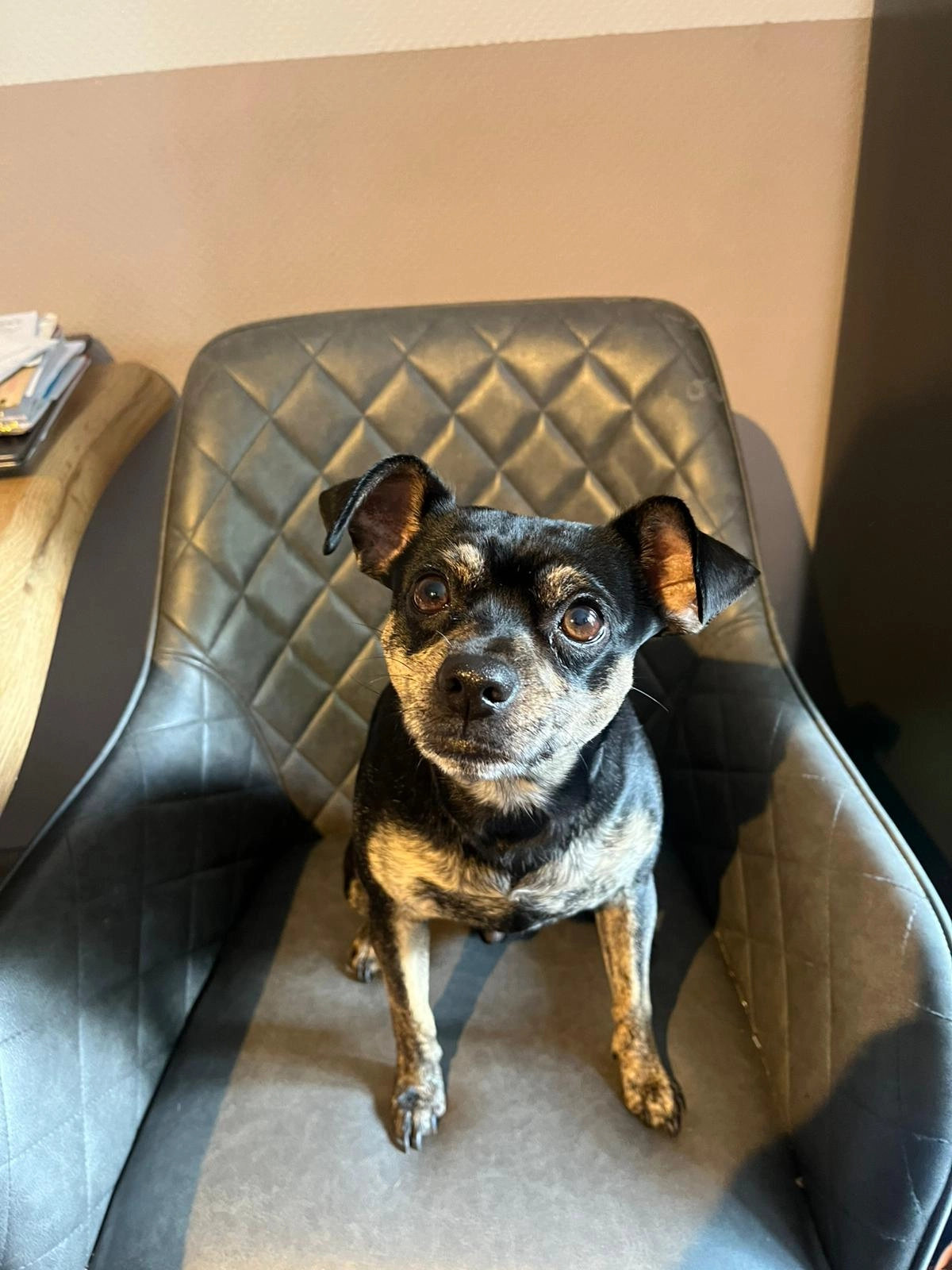 Chip  - Schäferskamp, Porta Westfalica