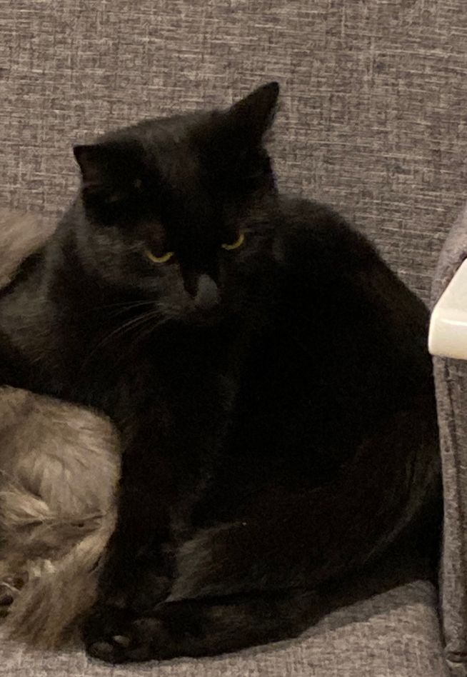 Balu - Standorf, Katsdorf